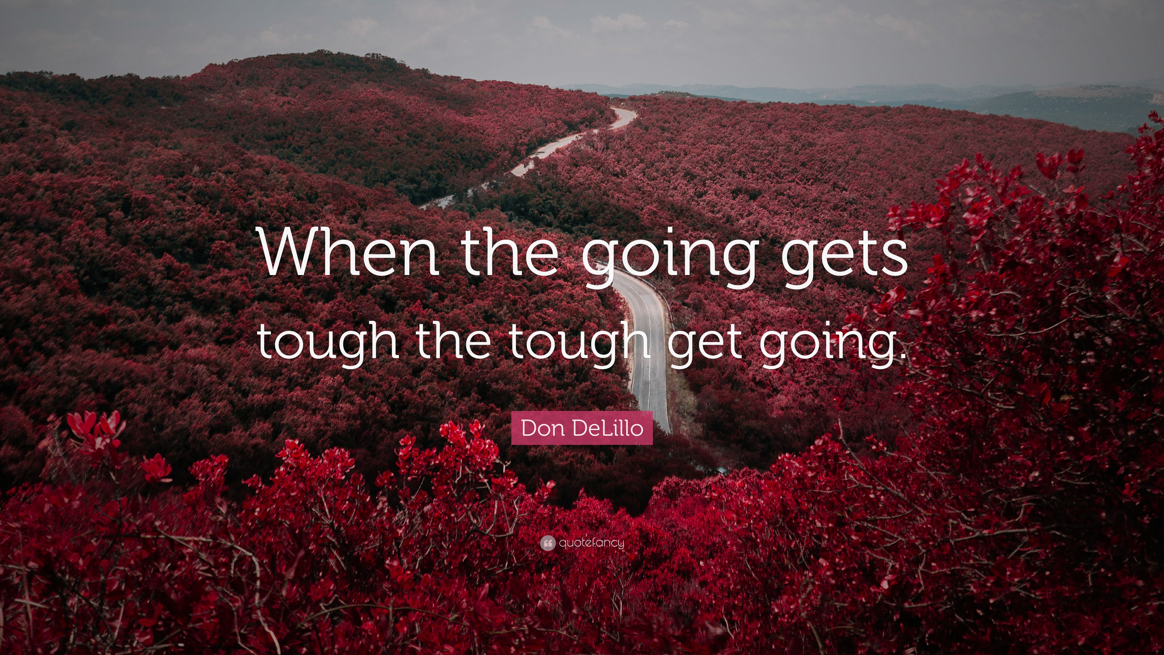 7693416 Don DeLillo Quote When The Going Gets Tough The Tough Get Going 