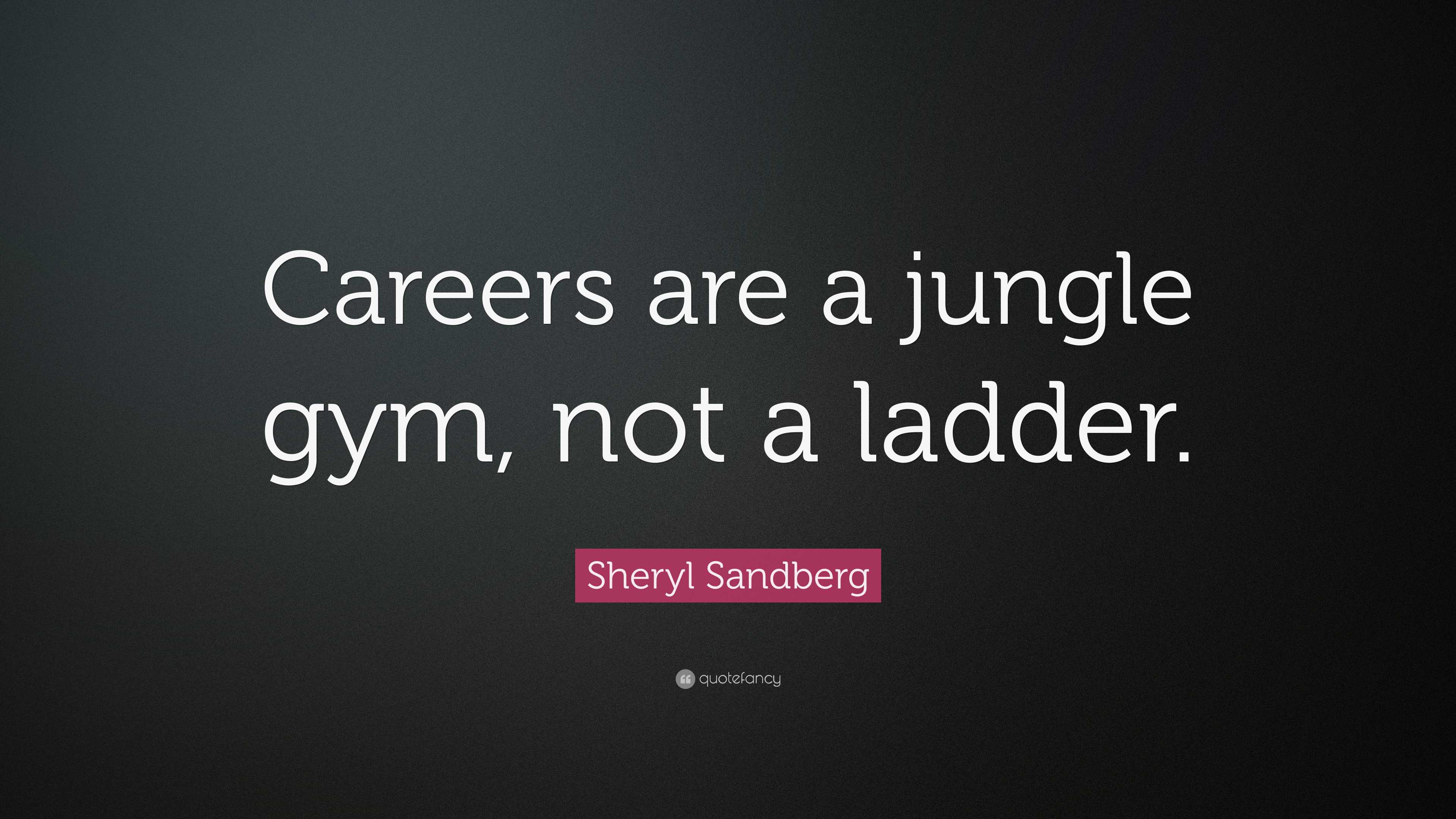 Sheryl Sandberg Quote “Careers are a jungle gym, not a ladder.”