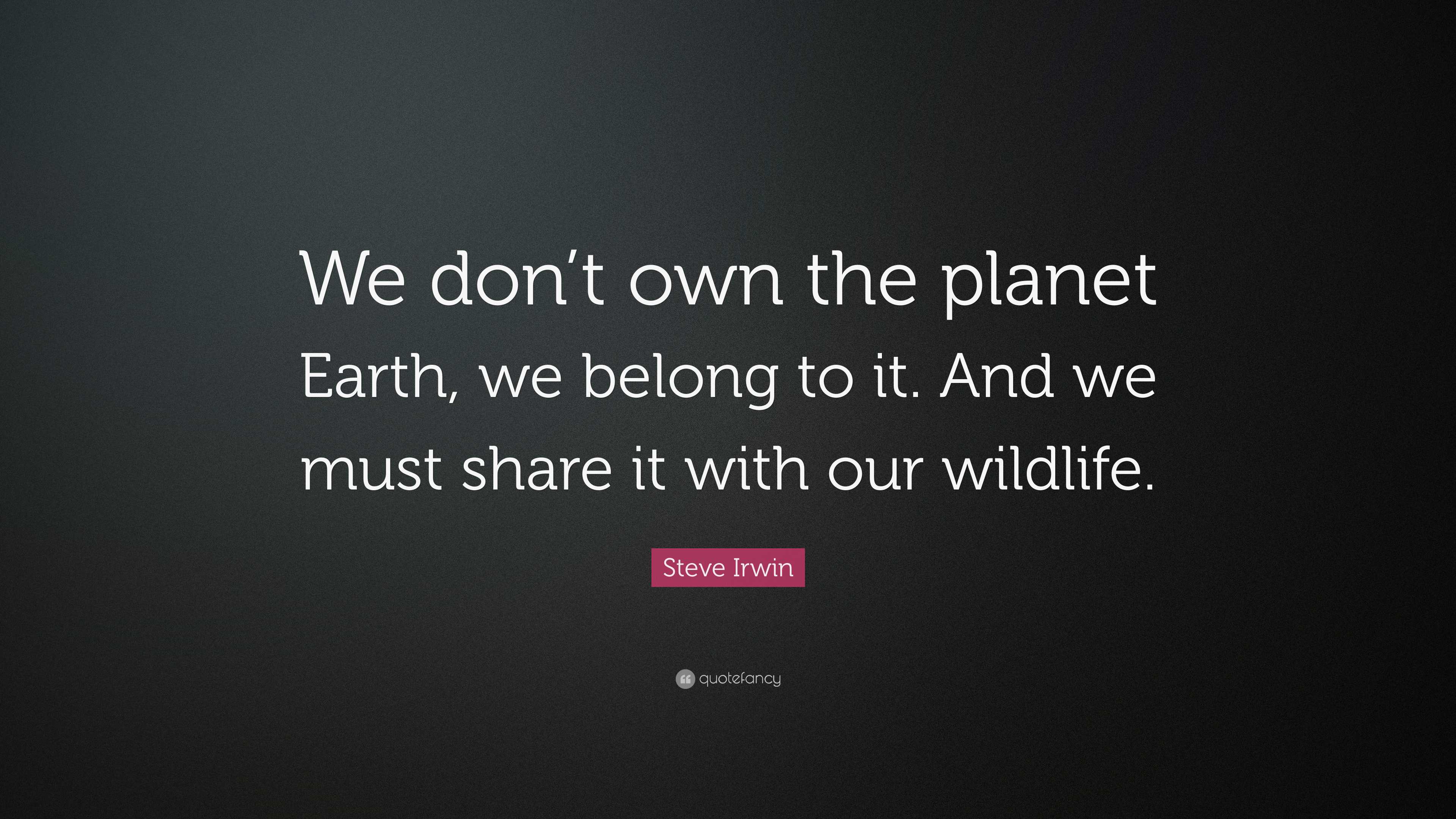 Steve Irwin Quote: “We don’t own the planet Earth, we belong to it. And ...