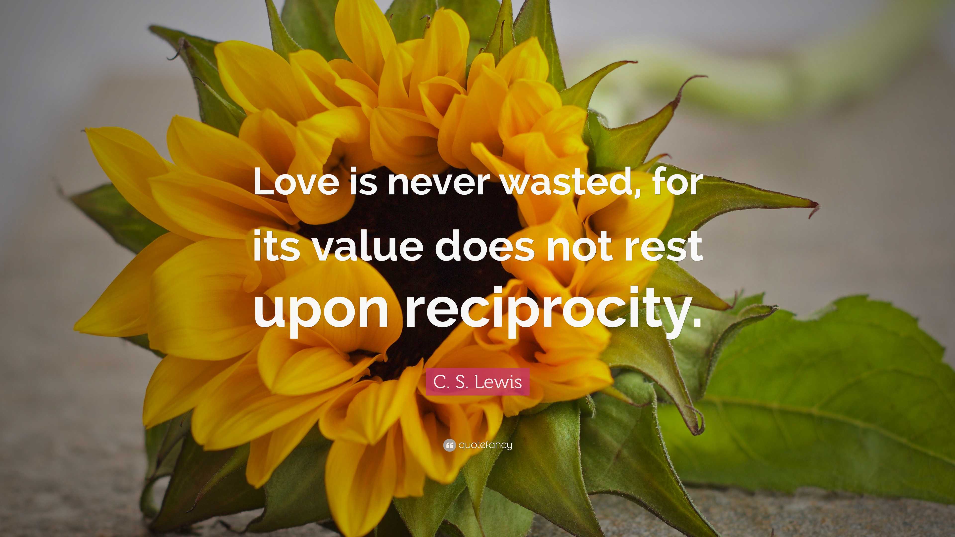 C. S. Lewis Quote: “Love is never wasted, for its value does not rest