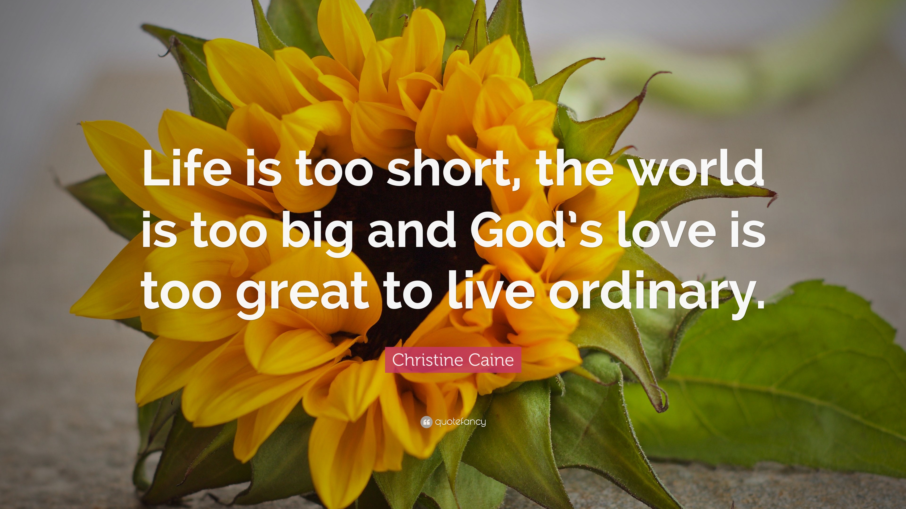 Christine Caine Quote: “Life is too short, the world is too big and God's  love is