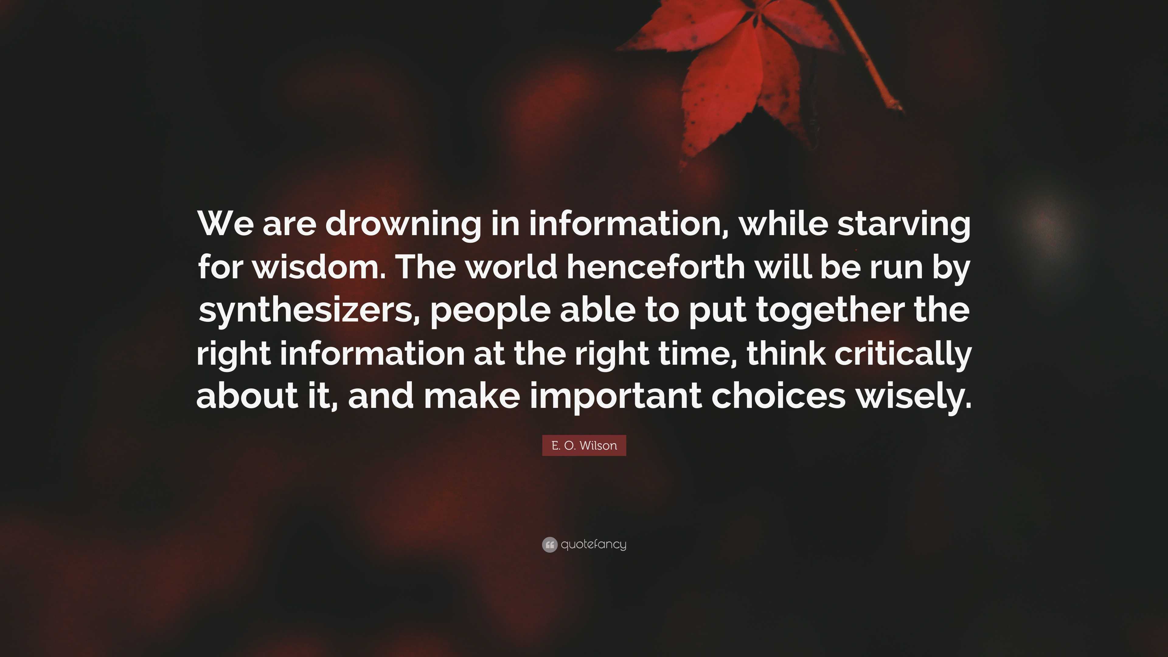 E O Wilson Quote We Are Drowning In Information While Starving For Wisdom The World