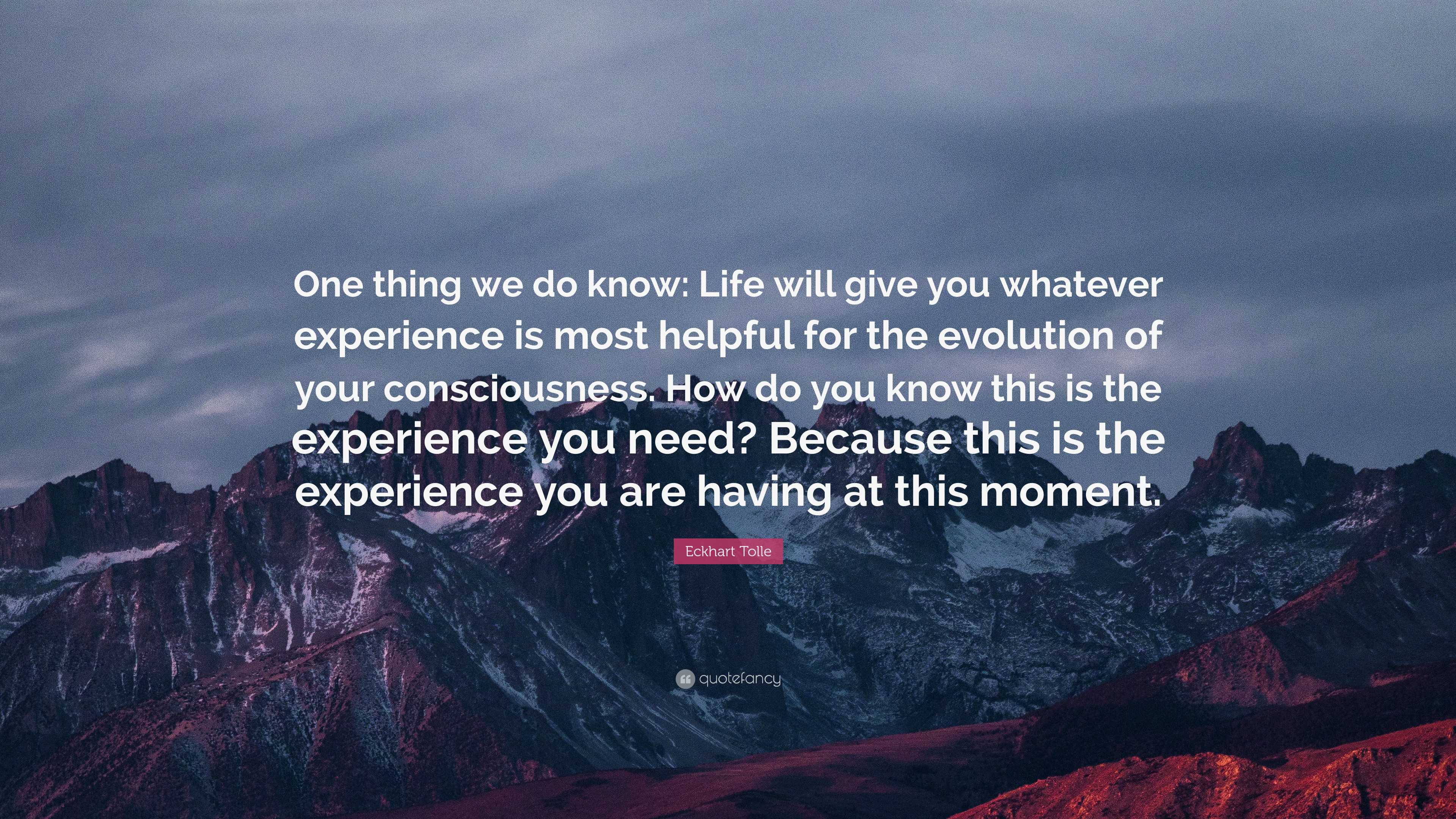 Eckhart Tolle Quote: “One thing we do know: Life will give you whatever ...