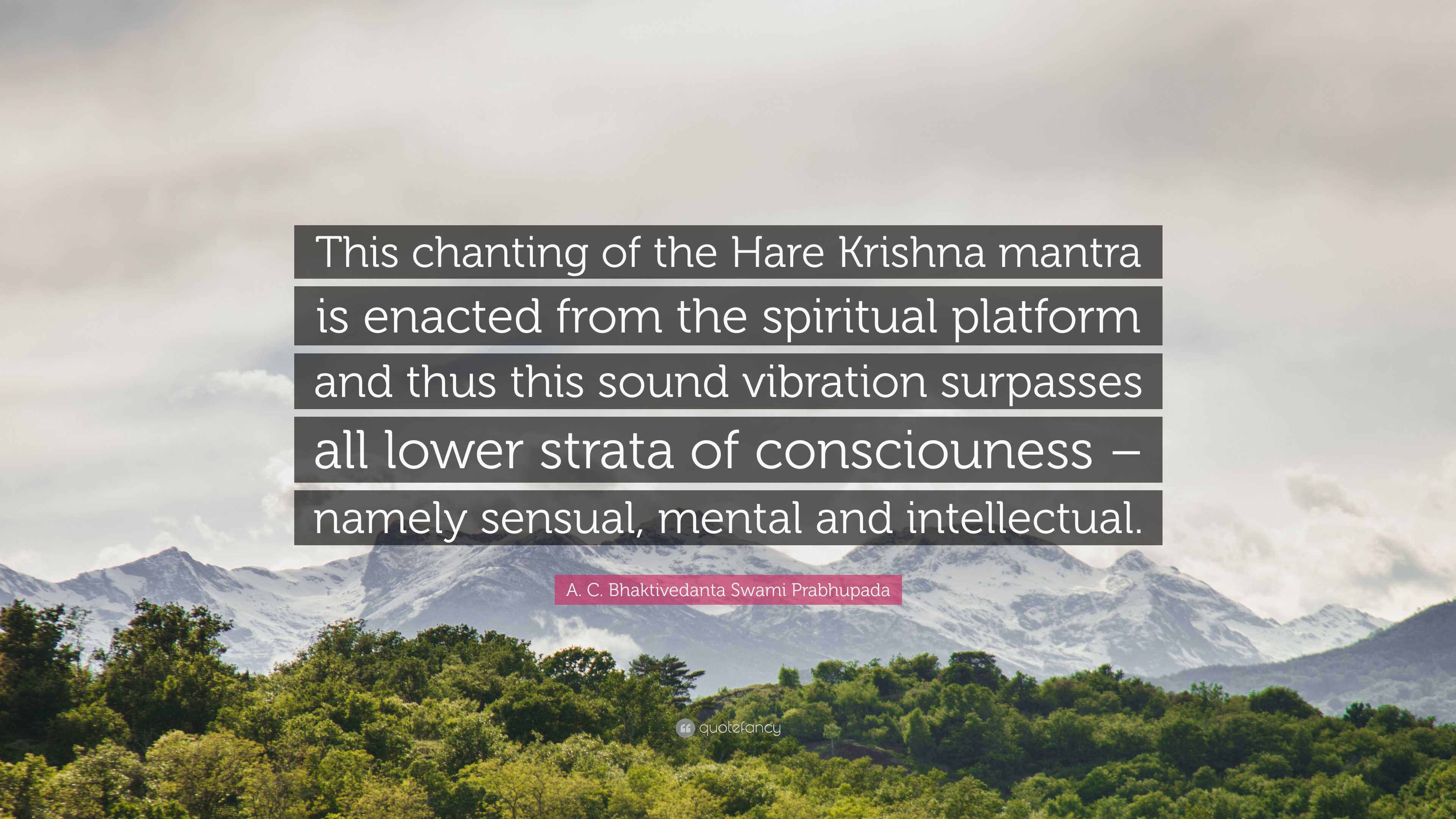 A. C. Bhaktivedanta Swami Prabhupada quote: This chanting of the Hare  Krishna mantra is enacted from