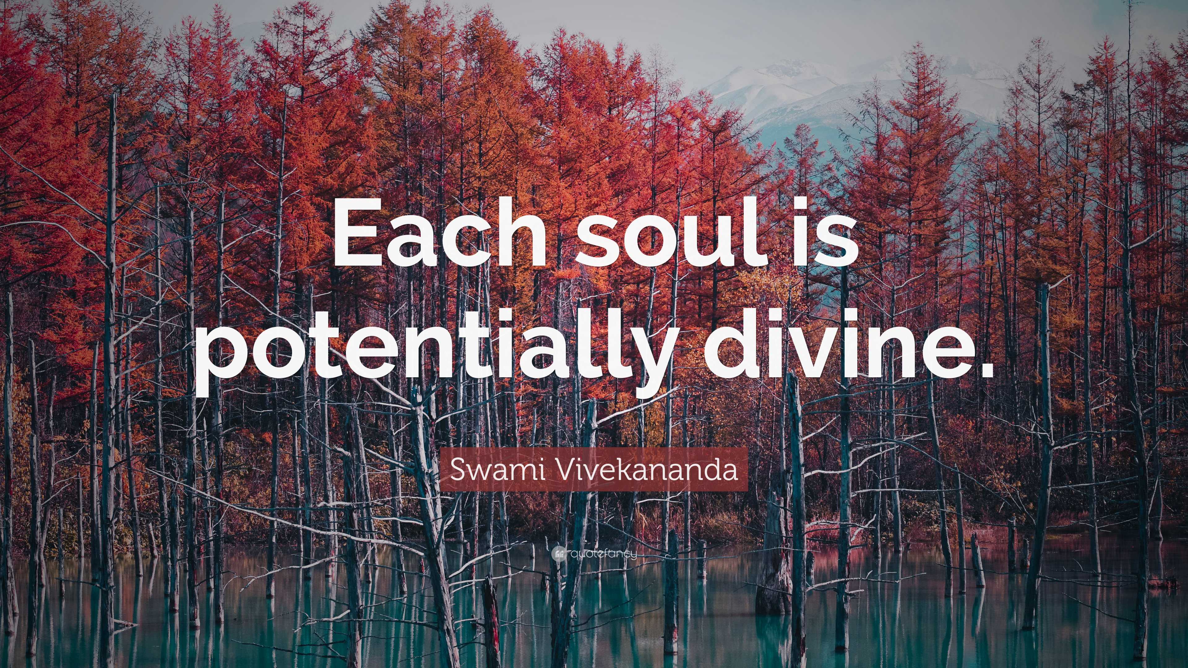 Swami Vivekananda Quote: “Each soul is potentially divine.”