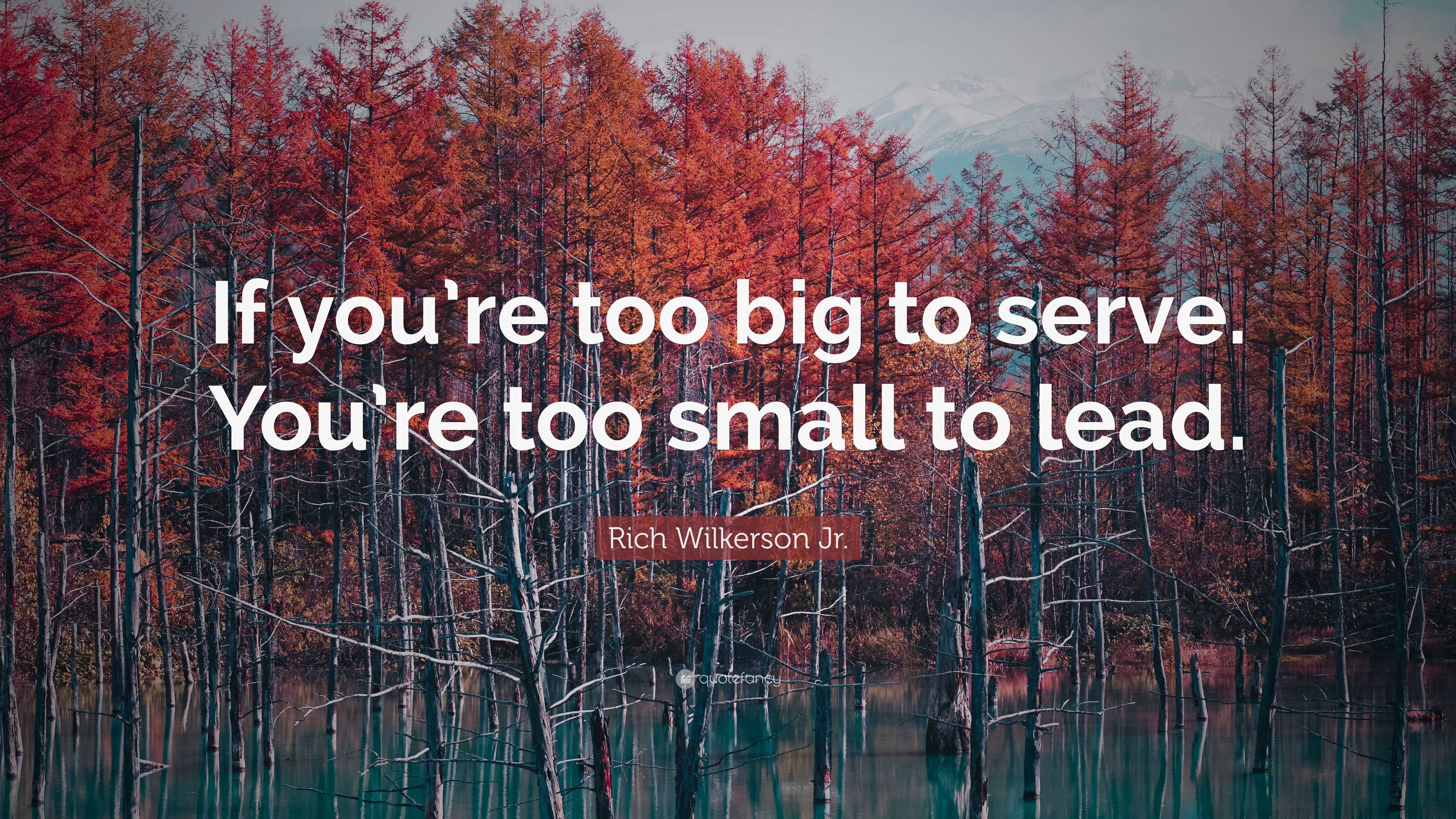 Rich Wilkerson Jr. Quote: “If you're too big to serve. You're too small to