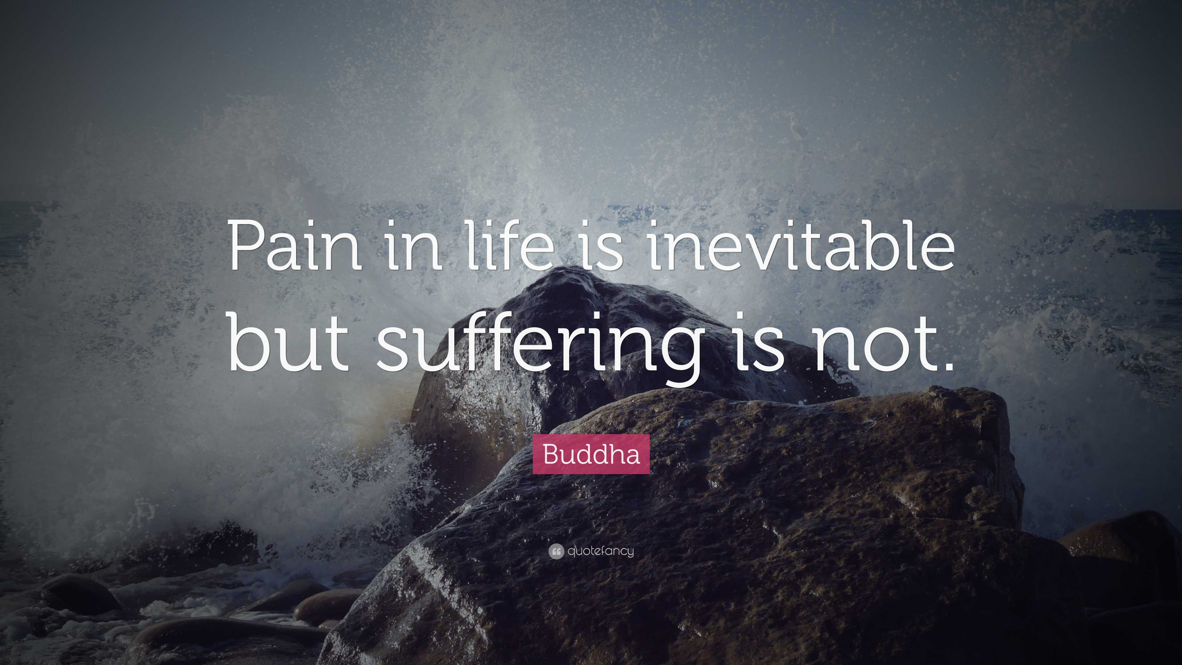 Buddha Quote: “Pain in life is inevitable but suffering is not.”