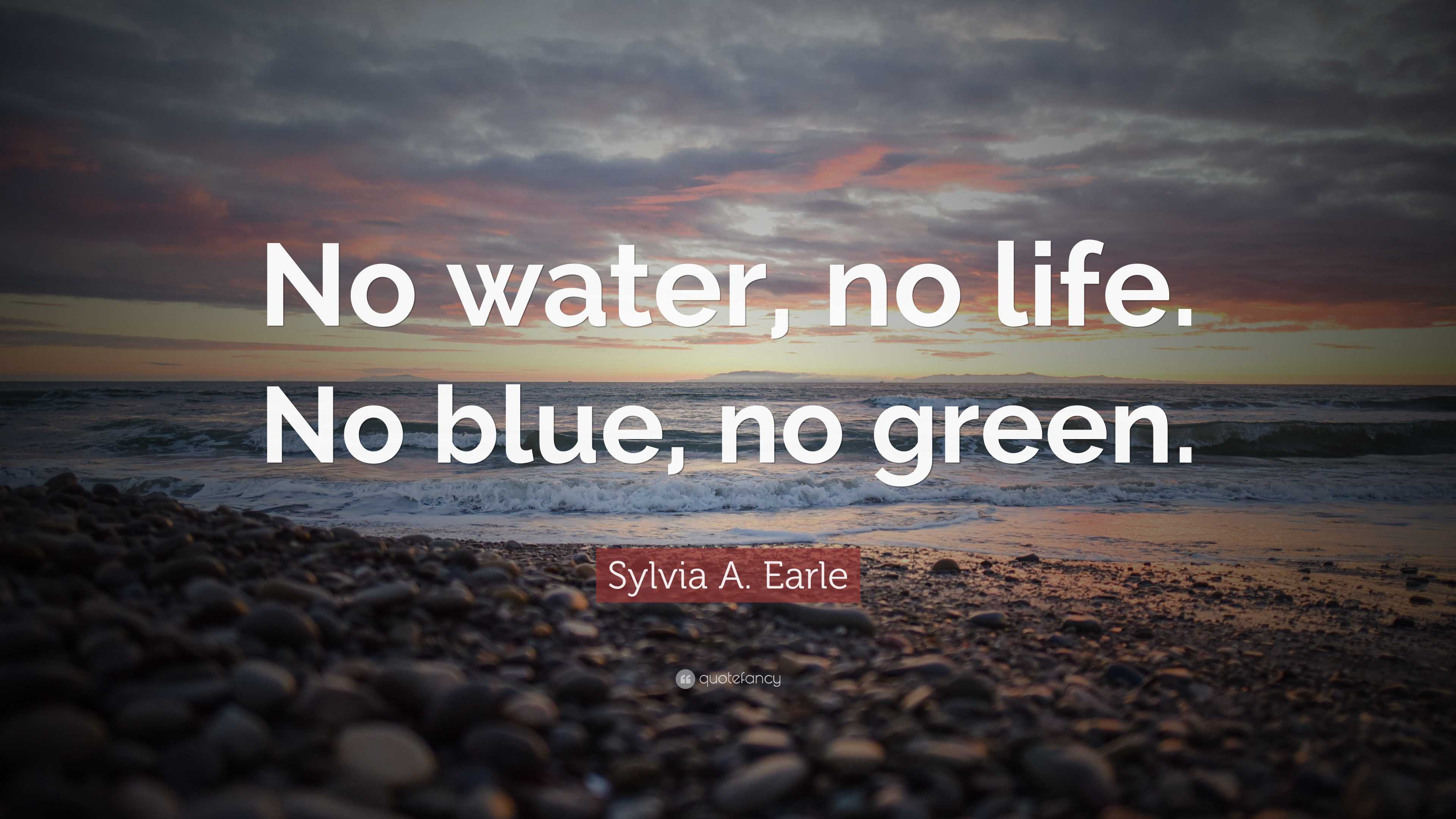 Sylvia A. Earle Quote: “No water, no life. No blue, no green.”