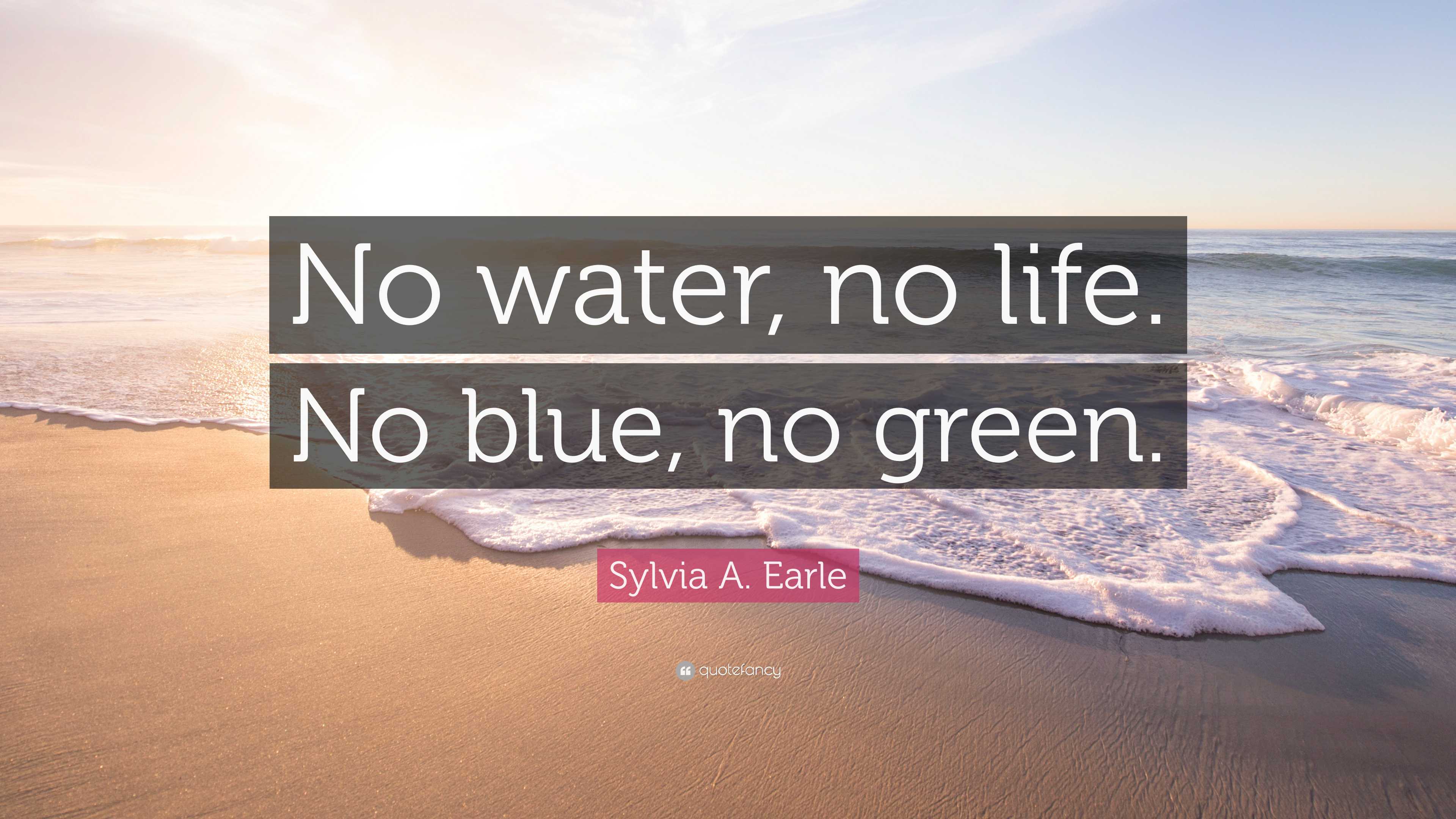 Sylvia A. Earle Quote “No water, no life. No blue, no green.”