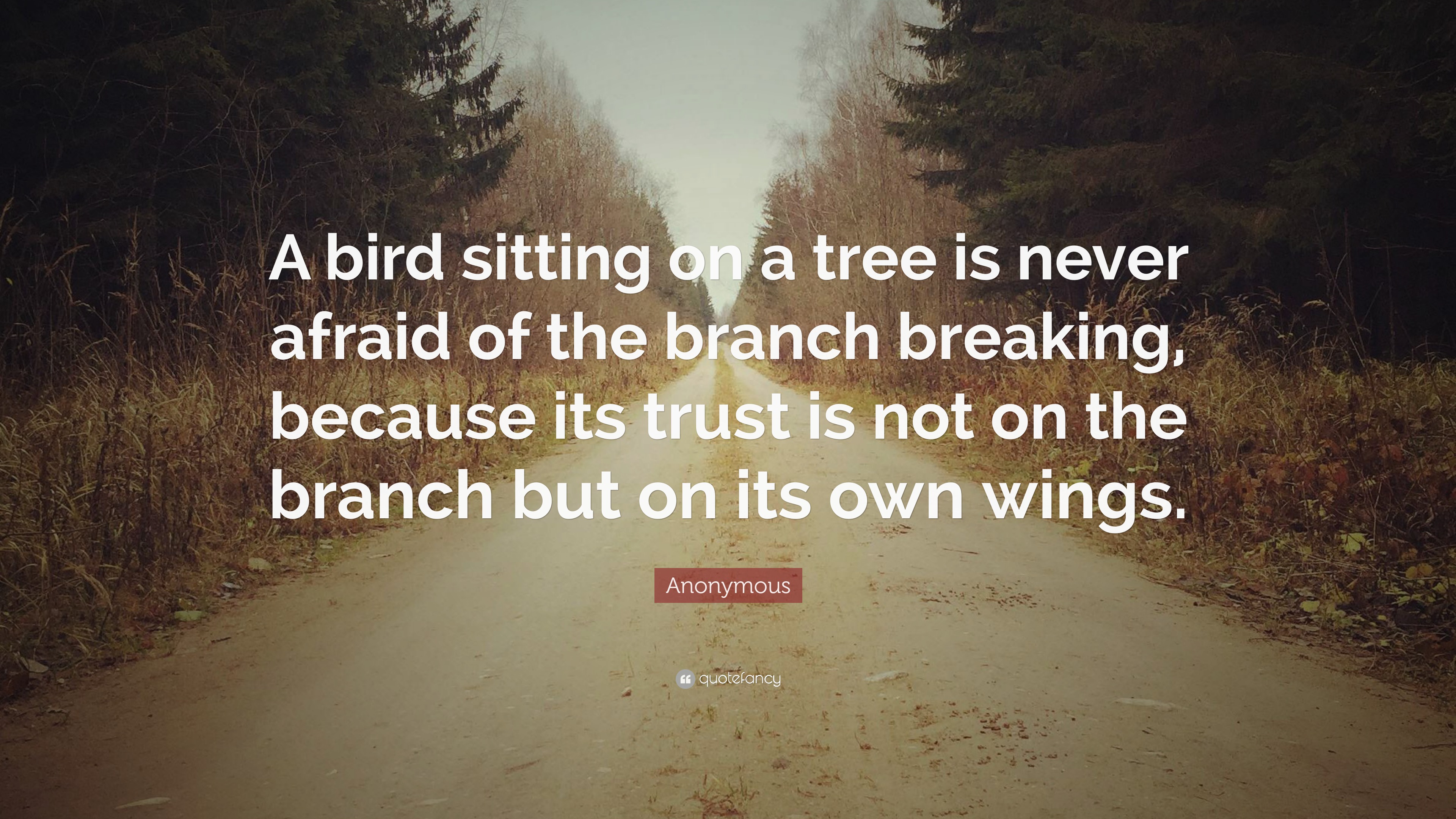 Anonymous Quote: “A bird sitting on a tree is never afraid of the ...