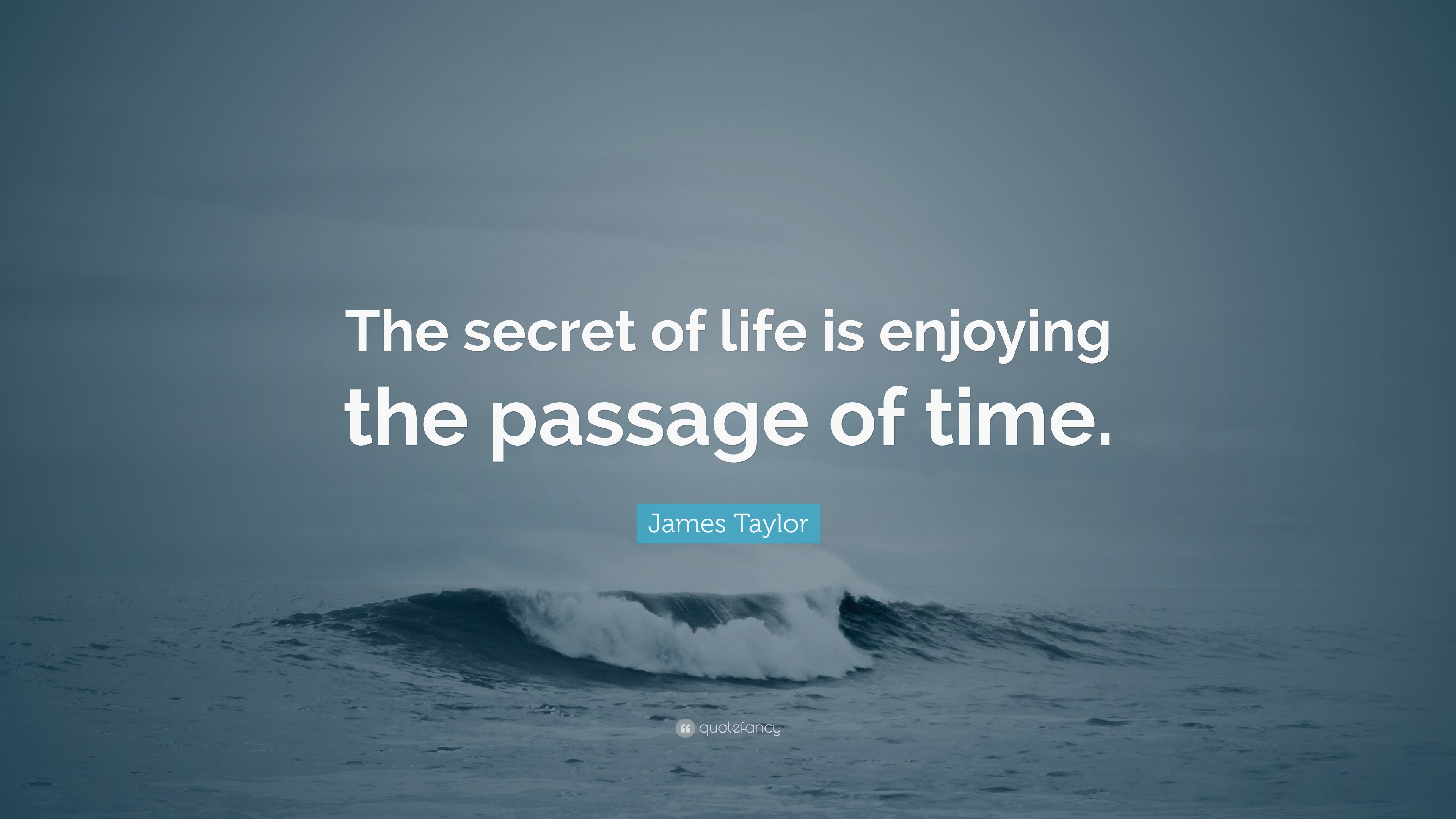 James Taylor Quote: “The secret of life is enjoying the passage of time.”