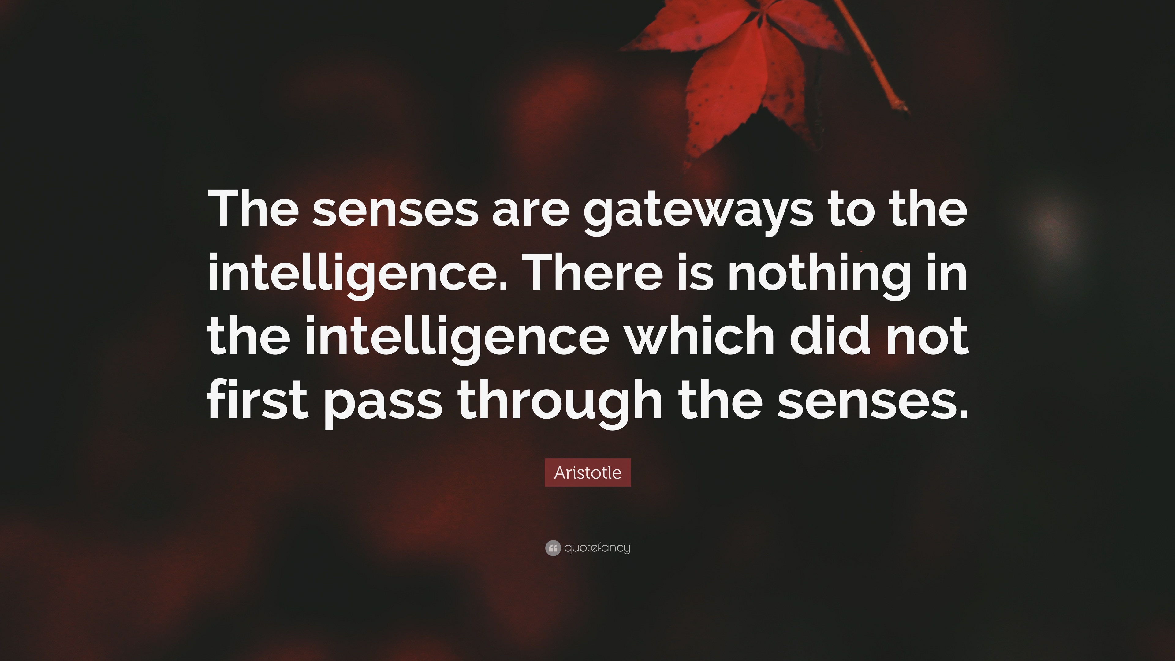 Aristotle Quote: “The senses are gateways to the intelligence. There is ...