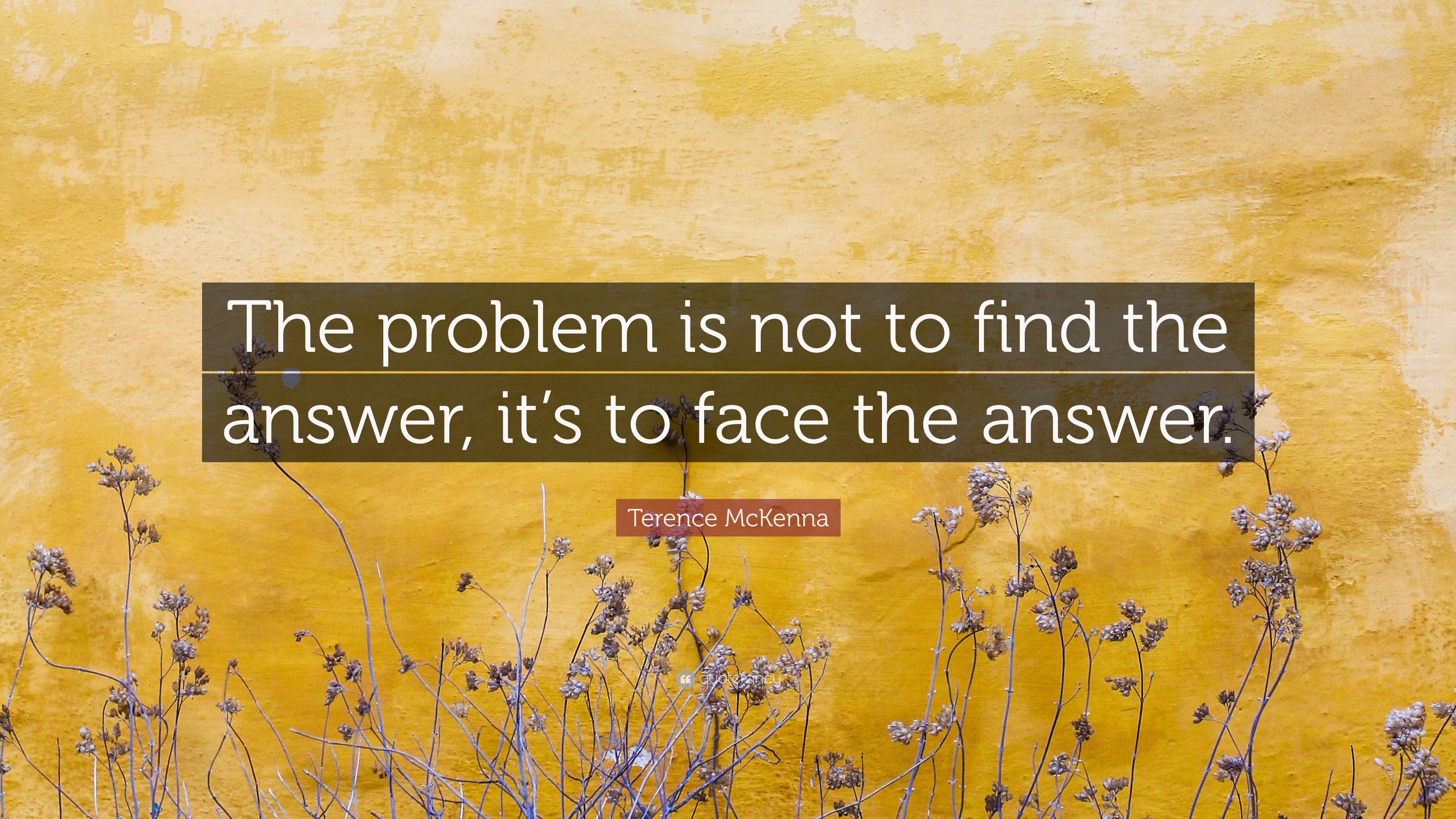 Terence McKenna Quote “The problem is not to find the answer, it’s to
