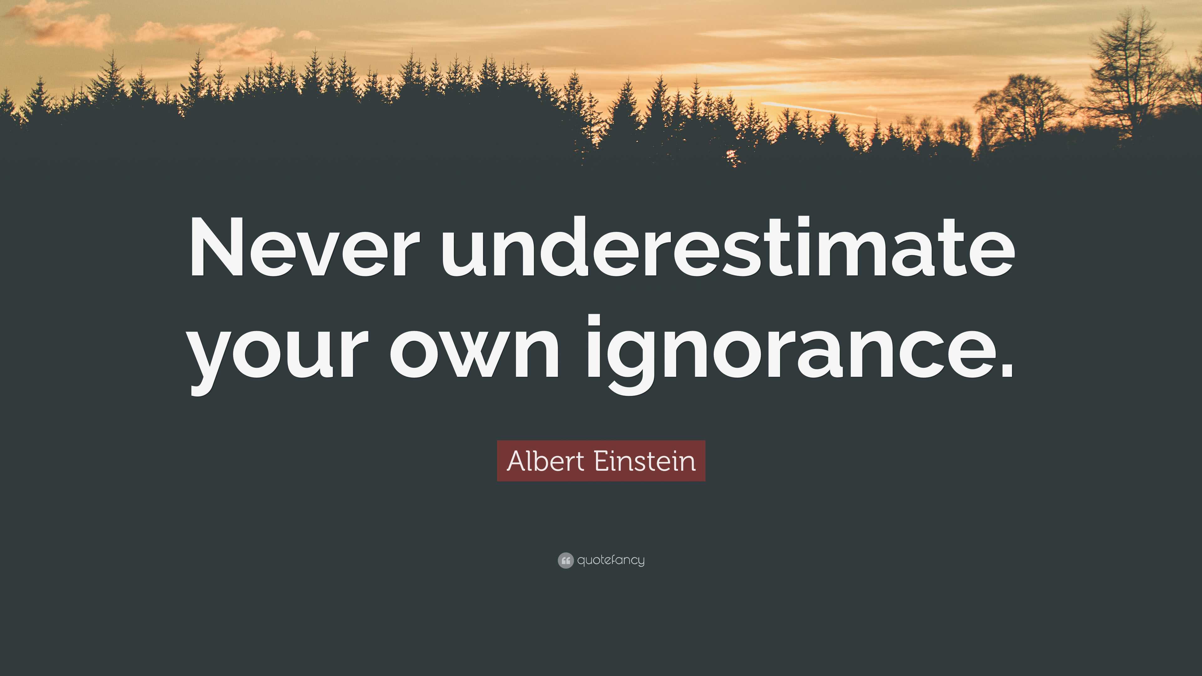 Albert Einstein Quote: “Never underestimate your own ignorance.”