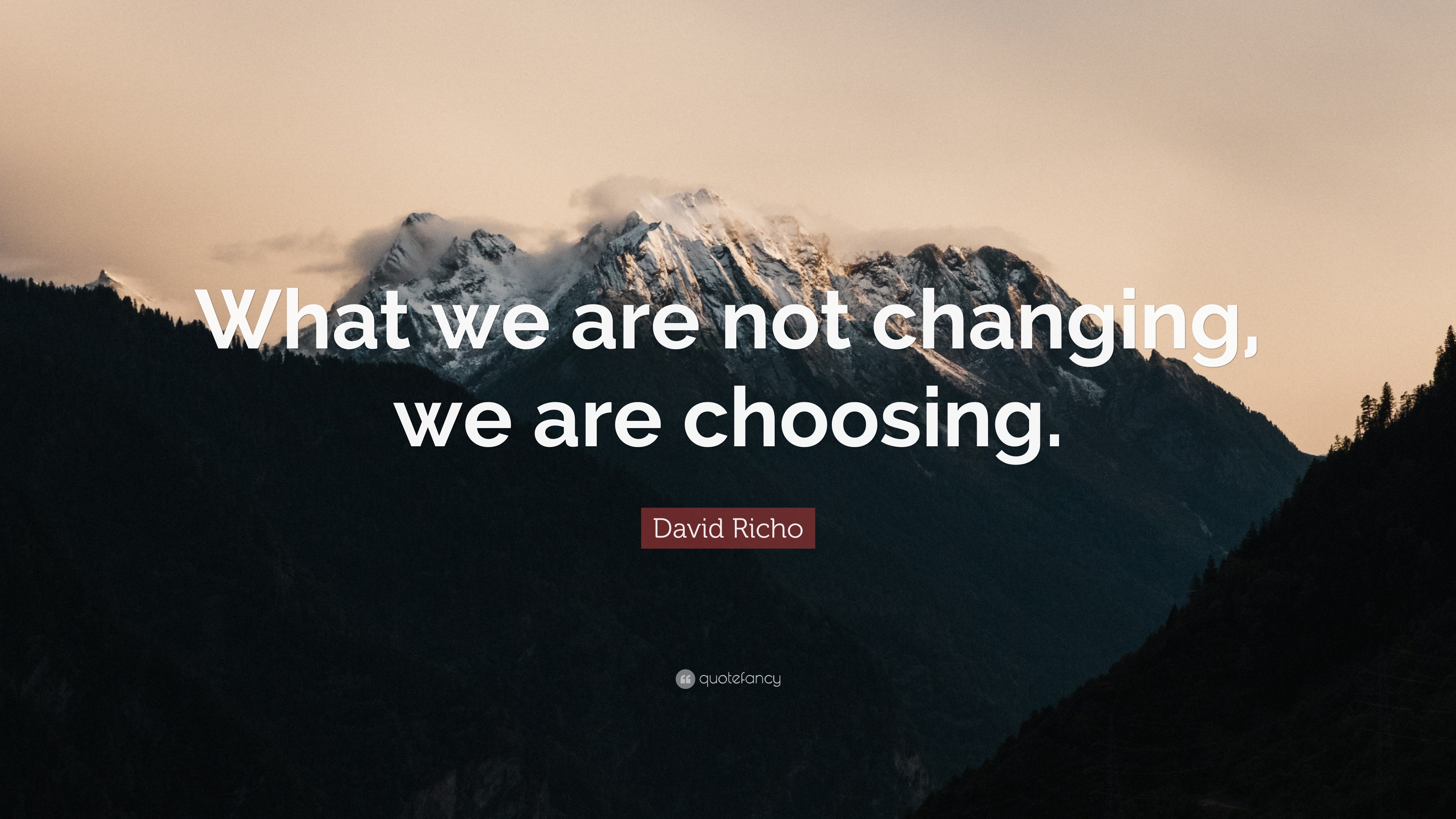 David Richo Quote: “What we are not changing, we are choosing.”