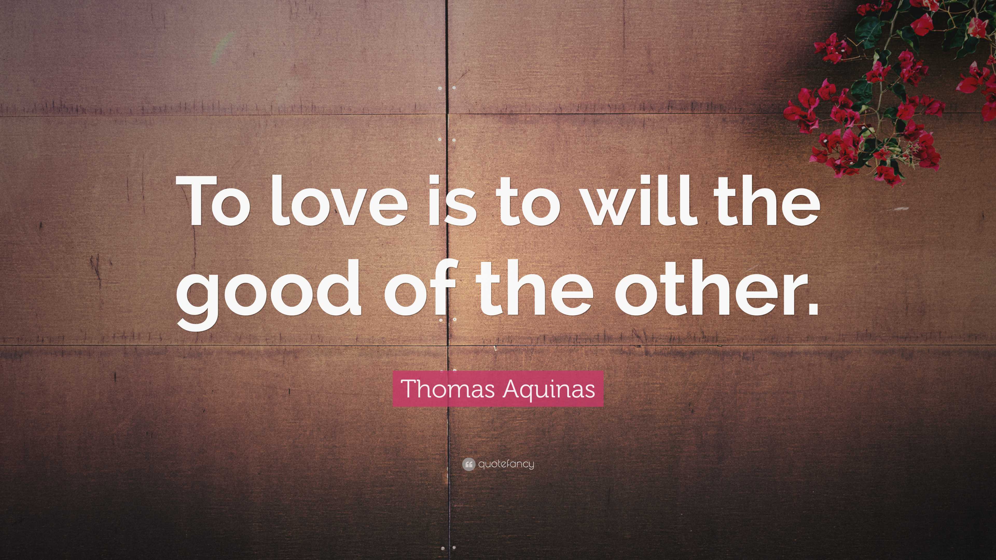 Thomas Aquinas Quote: “to Love Is To Will The Good Of The Other.”