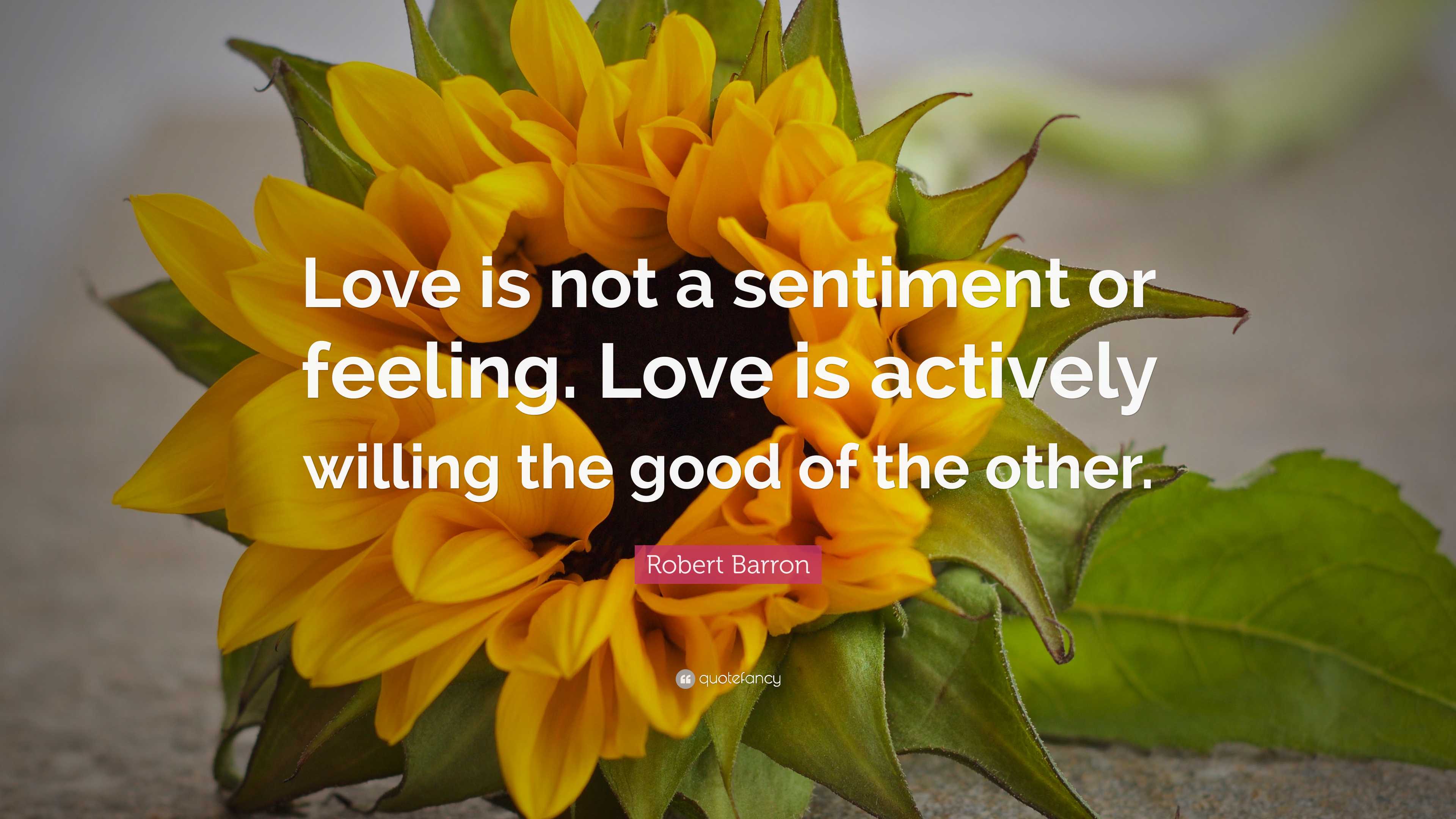 Robert Barron Quote: “Love is not a sentiment or feeling. Love is ...