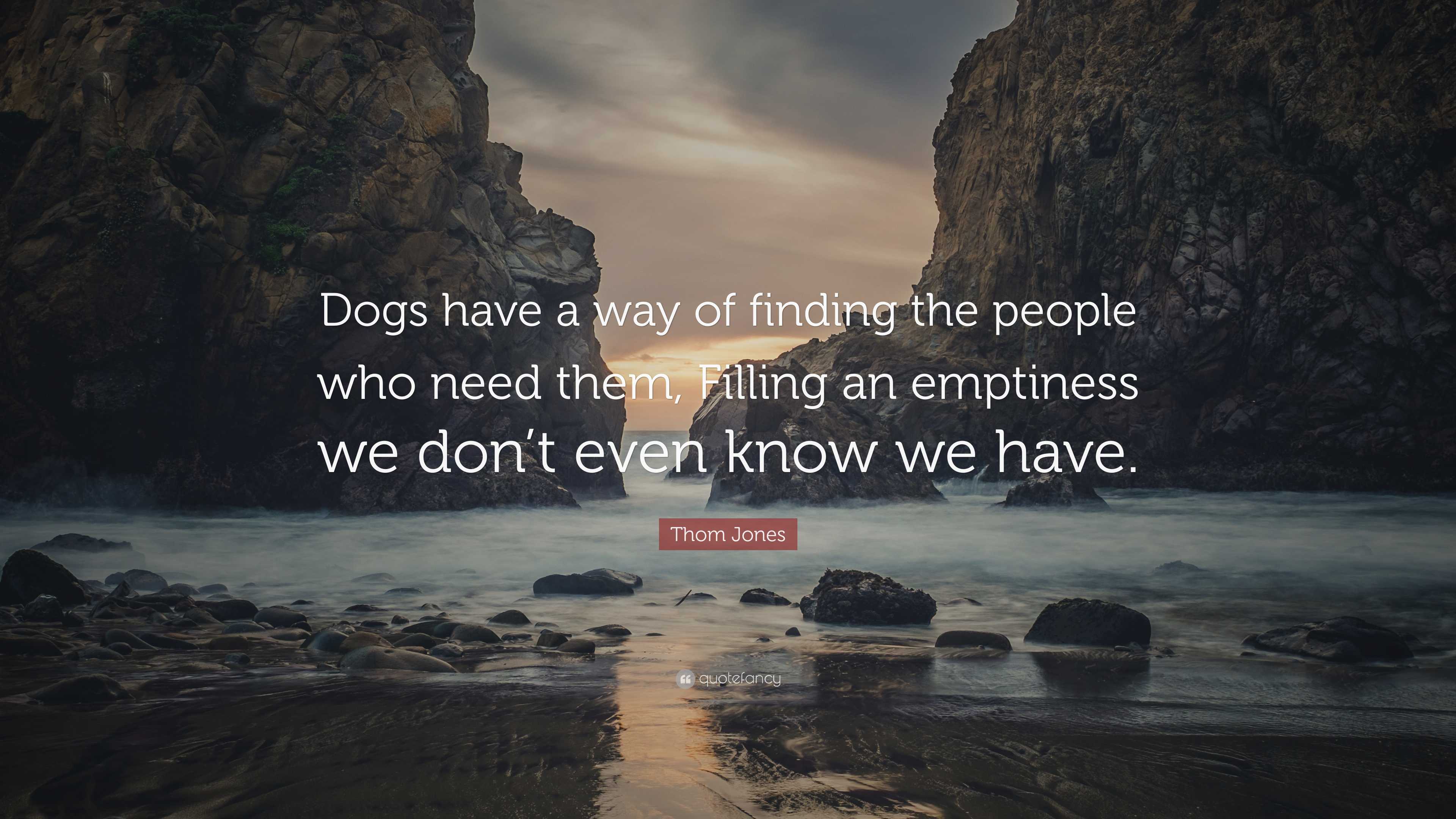 Thom Jones Quote: “Dogs have a way of finding the people who need them ...