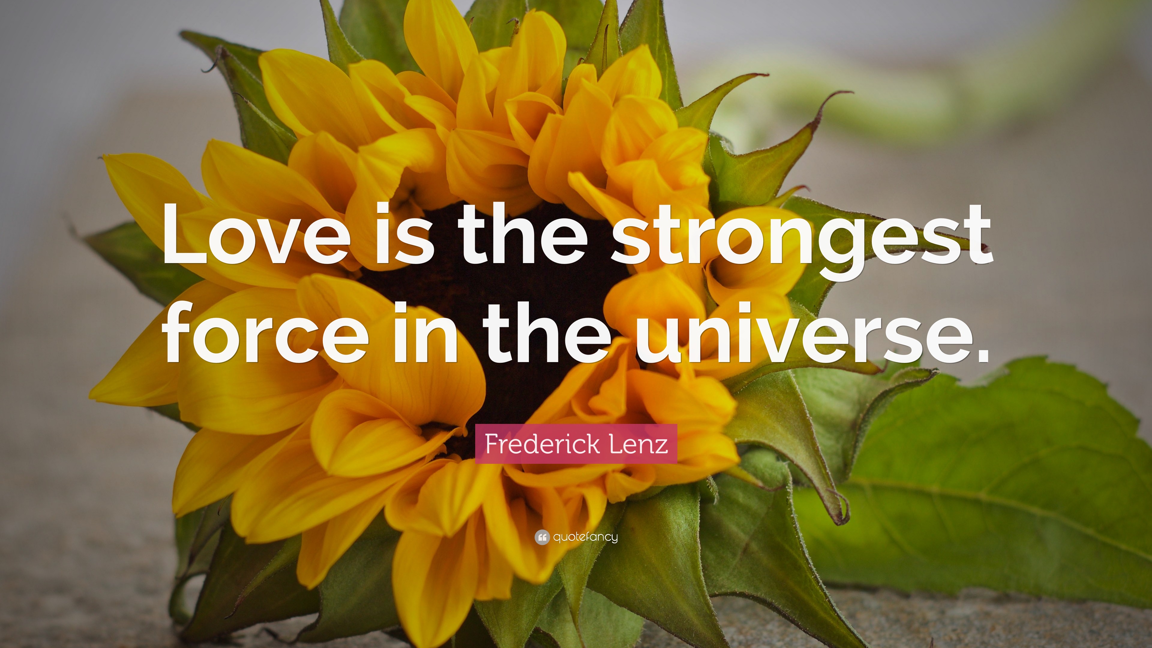 Frederick Lenz Quote: “Love is the strongest force in the universe.”