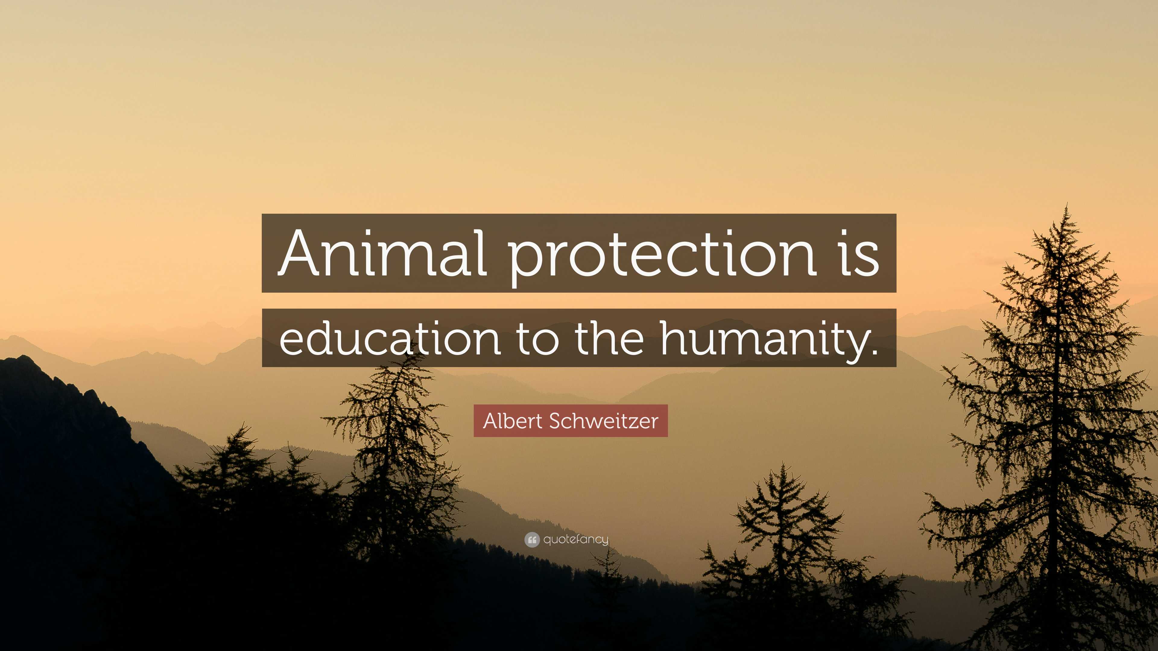 Albert Schweitzer Quote: “Animal protection is education to the humanity.”