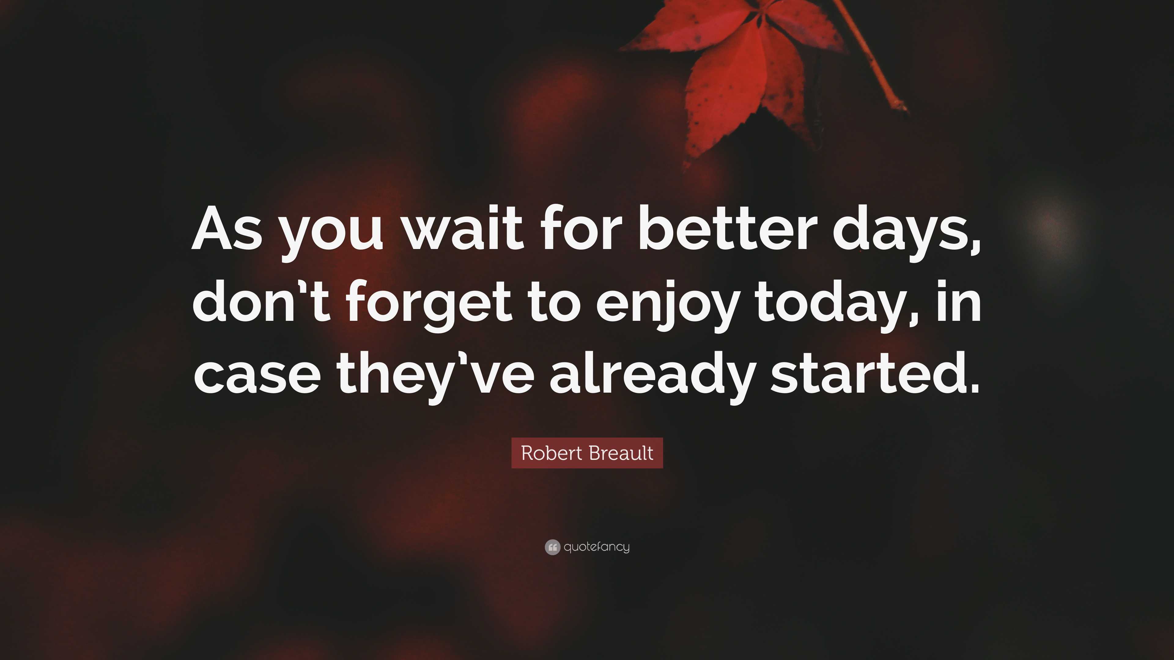 Robert Breault Quote: “As you wait for better days, don’t forget to ...