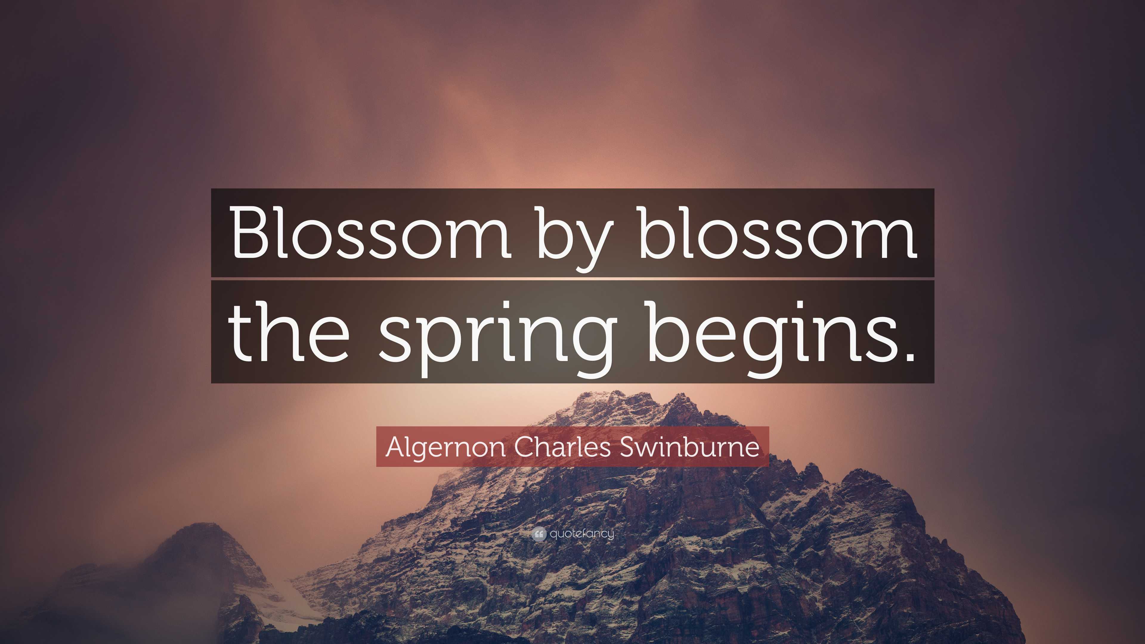 Algernon Charles Swinburne Quote: “Blossom by blossom the spring begins.”