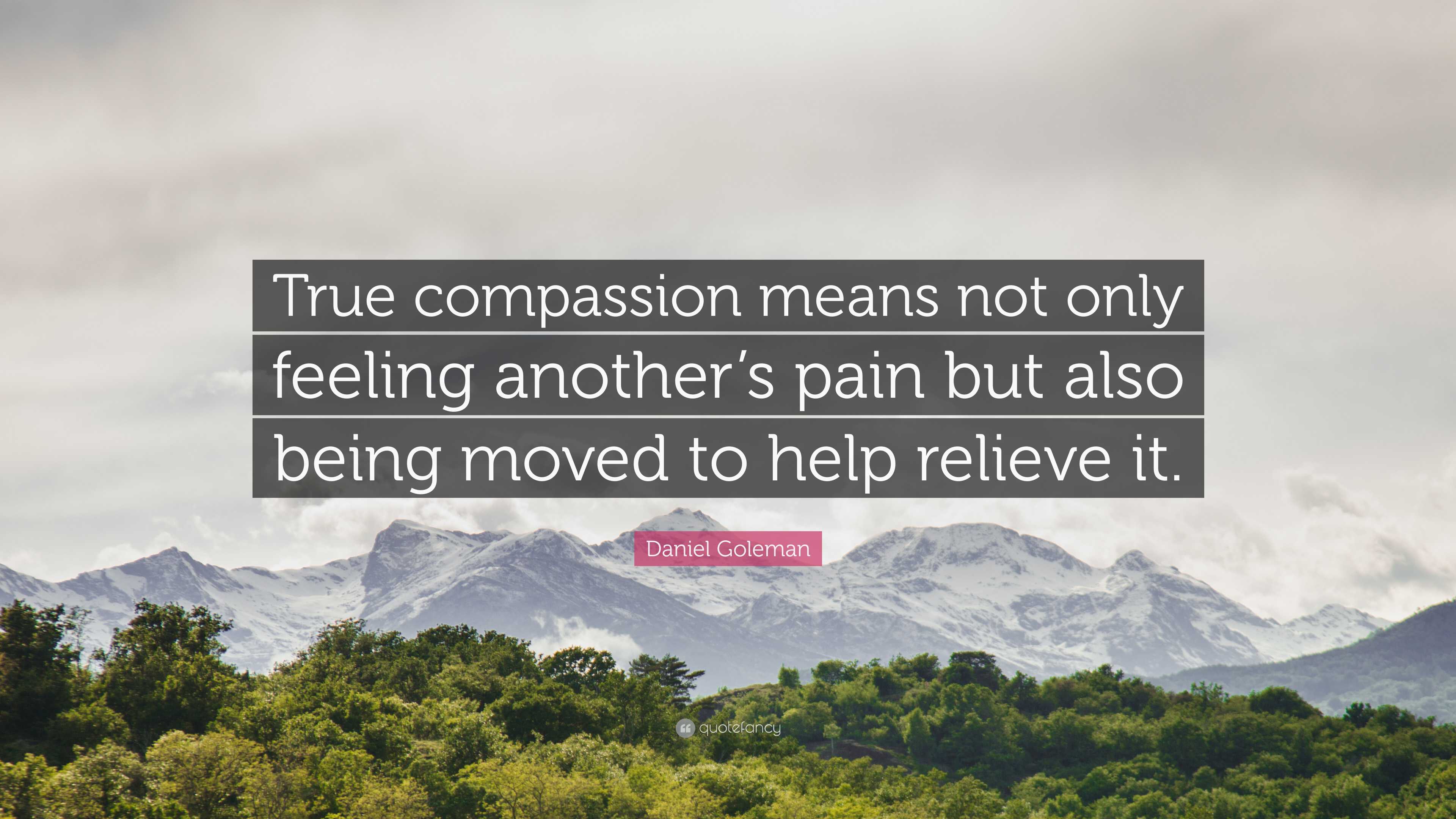 Daniel Goleman Quote: “True compassion means not only feeling another’s ...