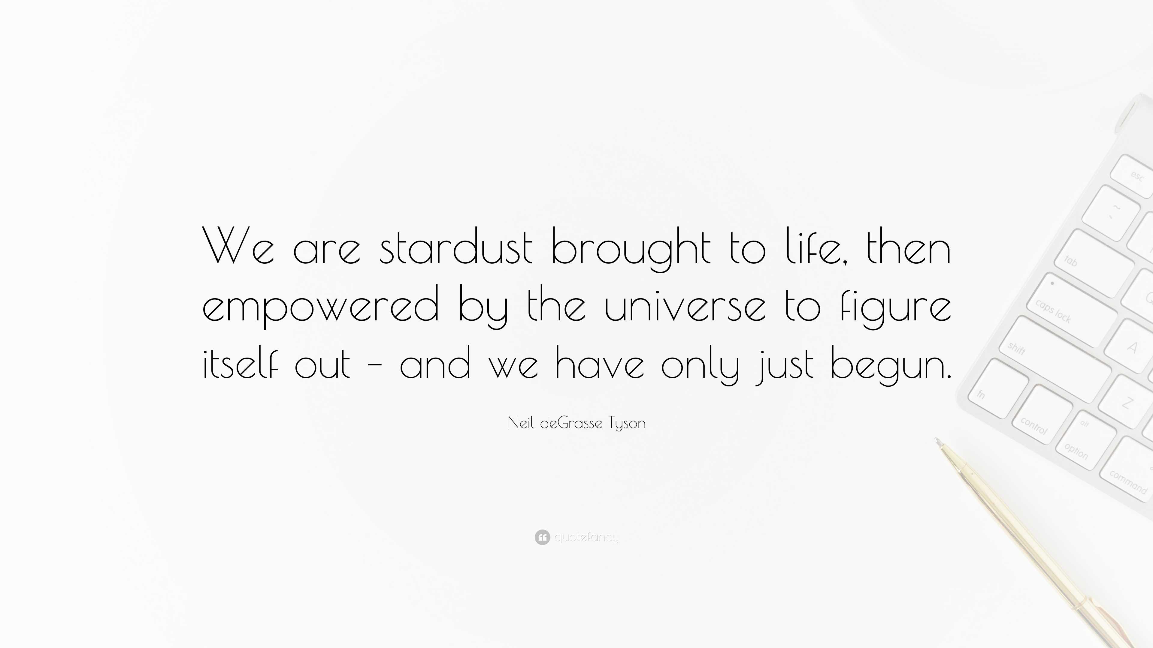 Neil Degrasse Tyson Quote “we Are Stardust Brought To Life Then Empowered By The Universe To 