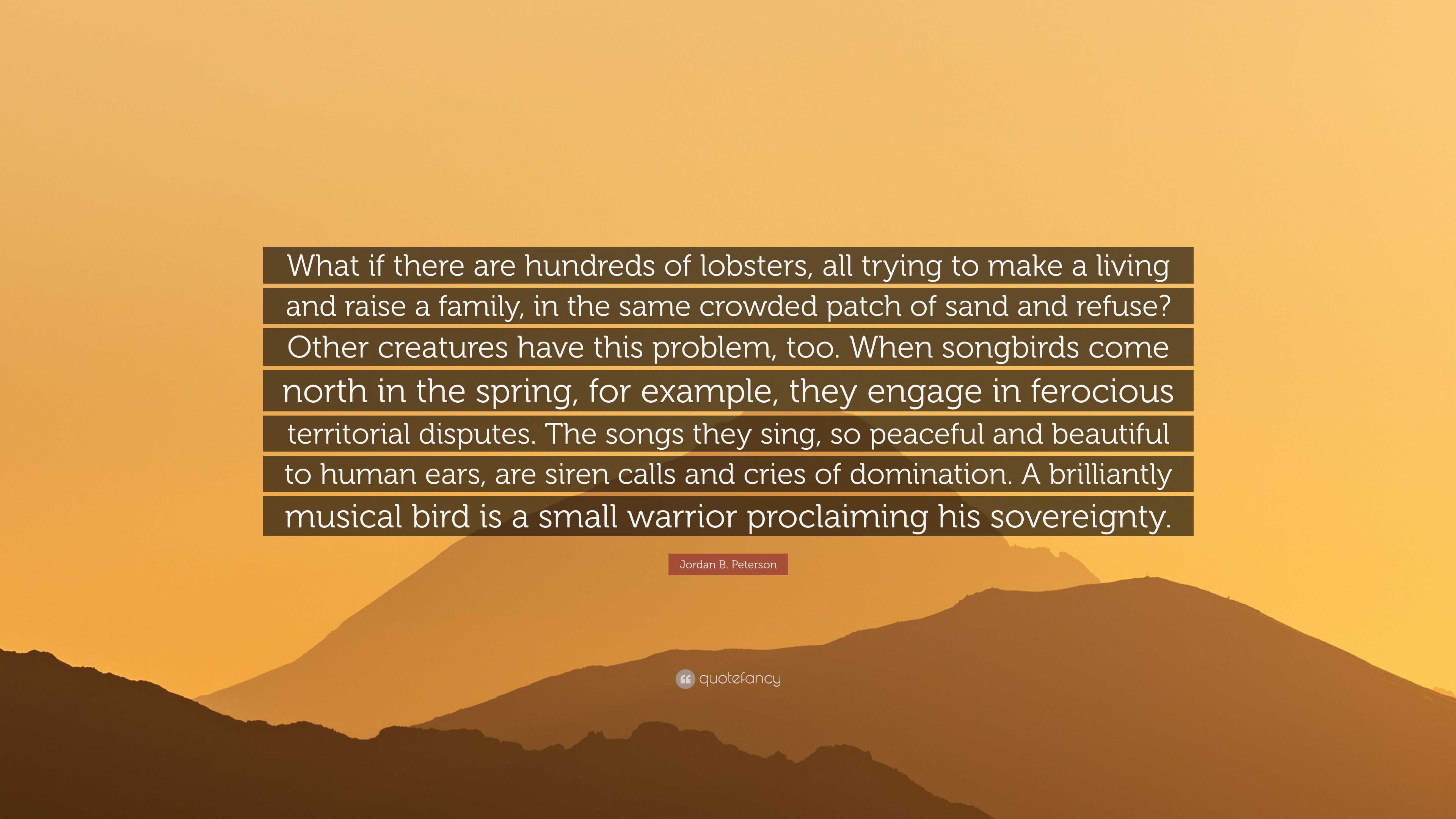 Jordan B. Peterson Quote “What if there are hundreds of lobsters, all