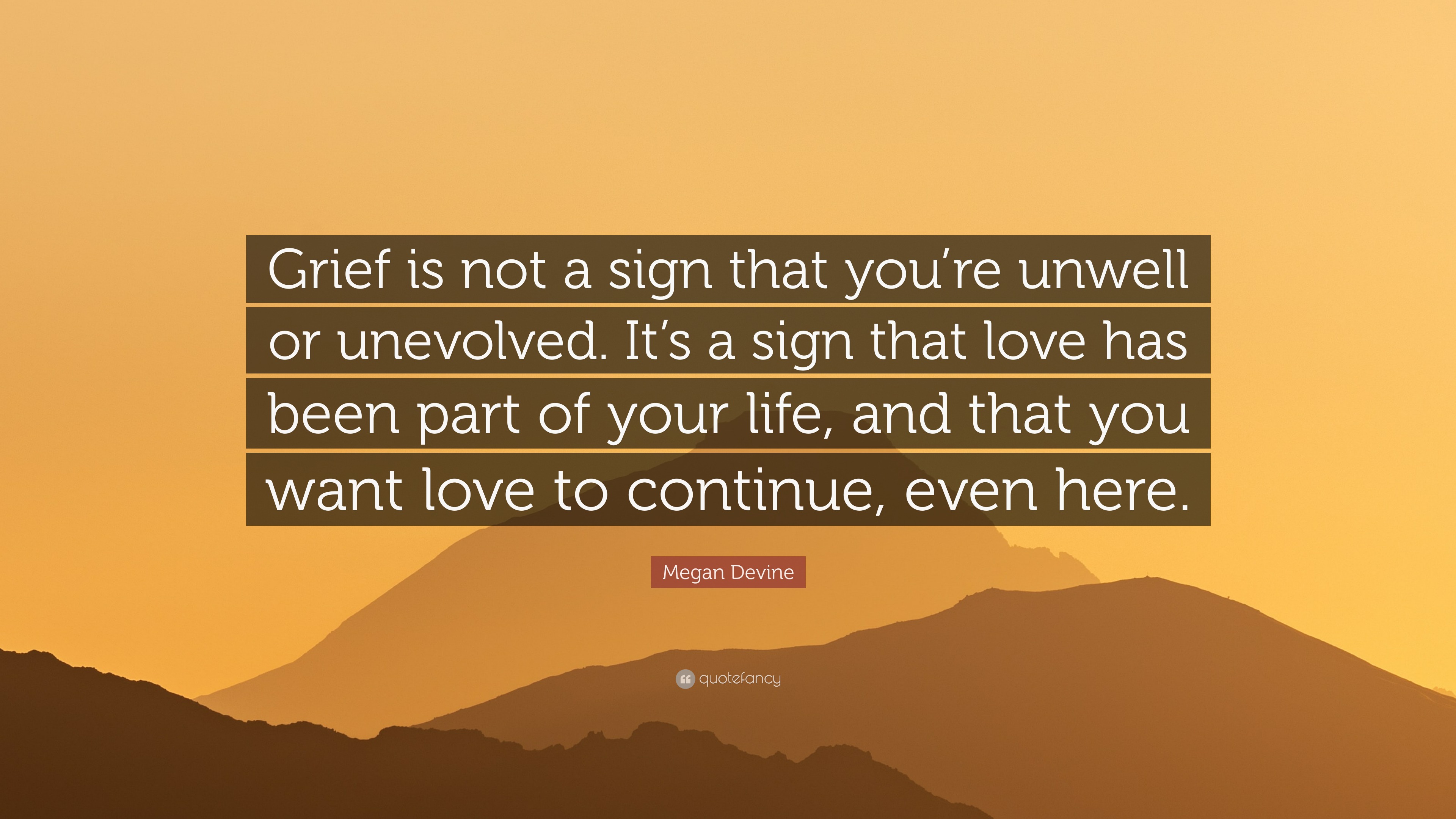 Megan Devine Quote: “Grief is not a sign that you’re unwell or ...