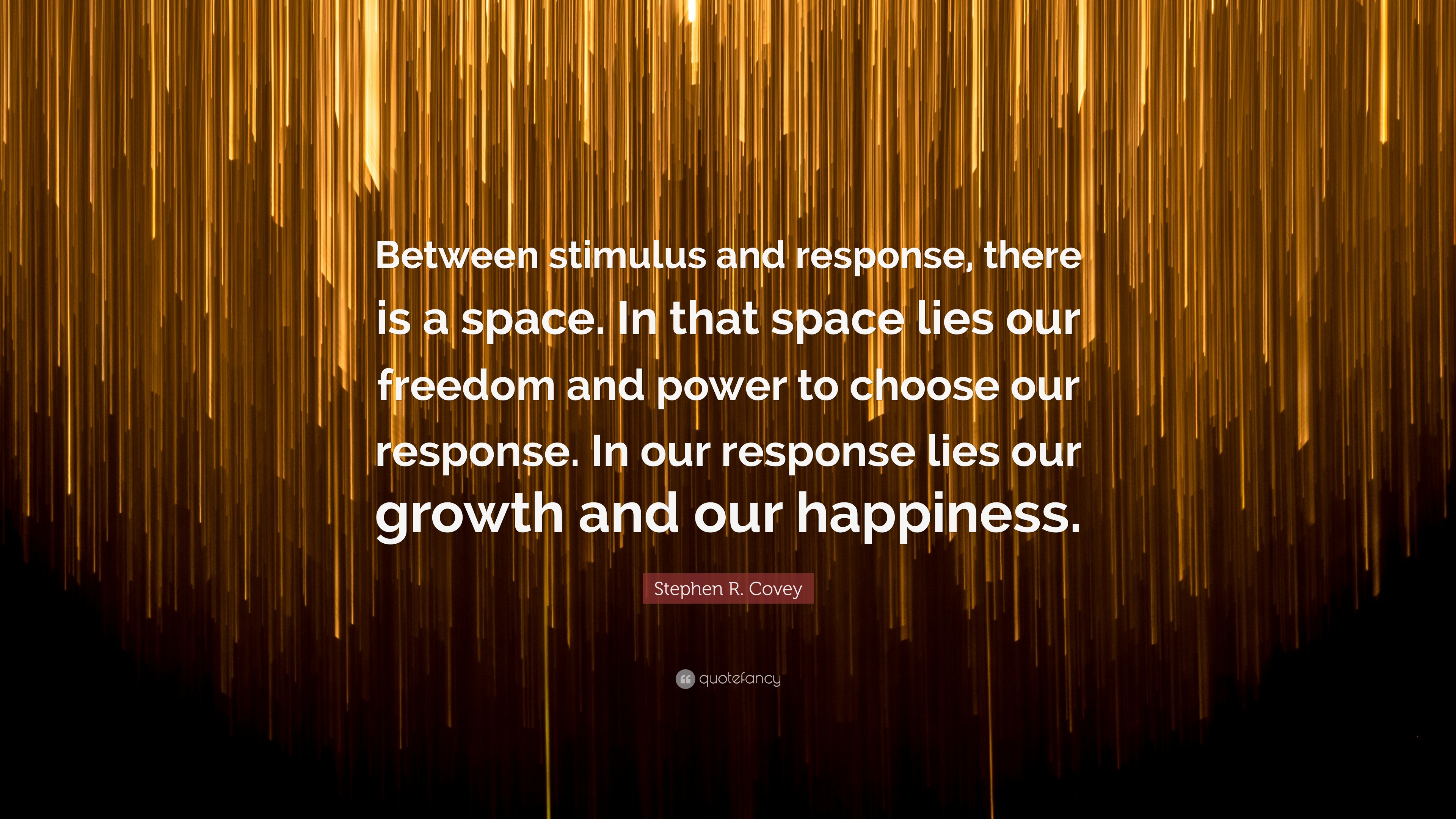 Stephen R. Covey Quote: “Between Stimulus And Response, There Is A ...