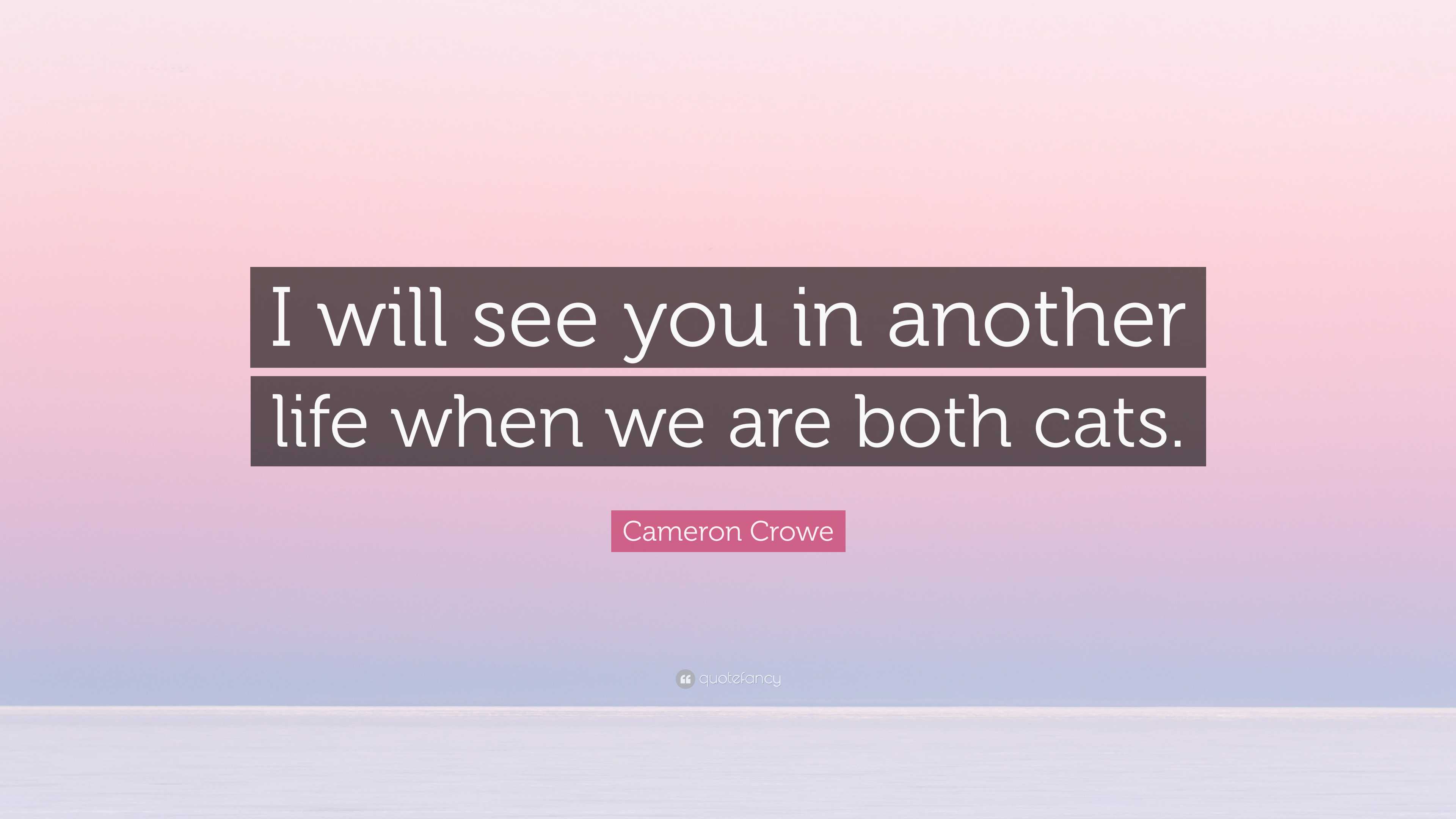 Cameron Crowe Quote: “I will see you in another life when we are both
