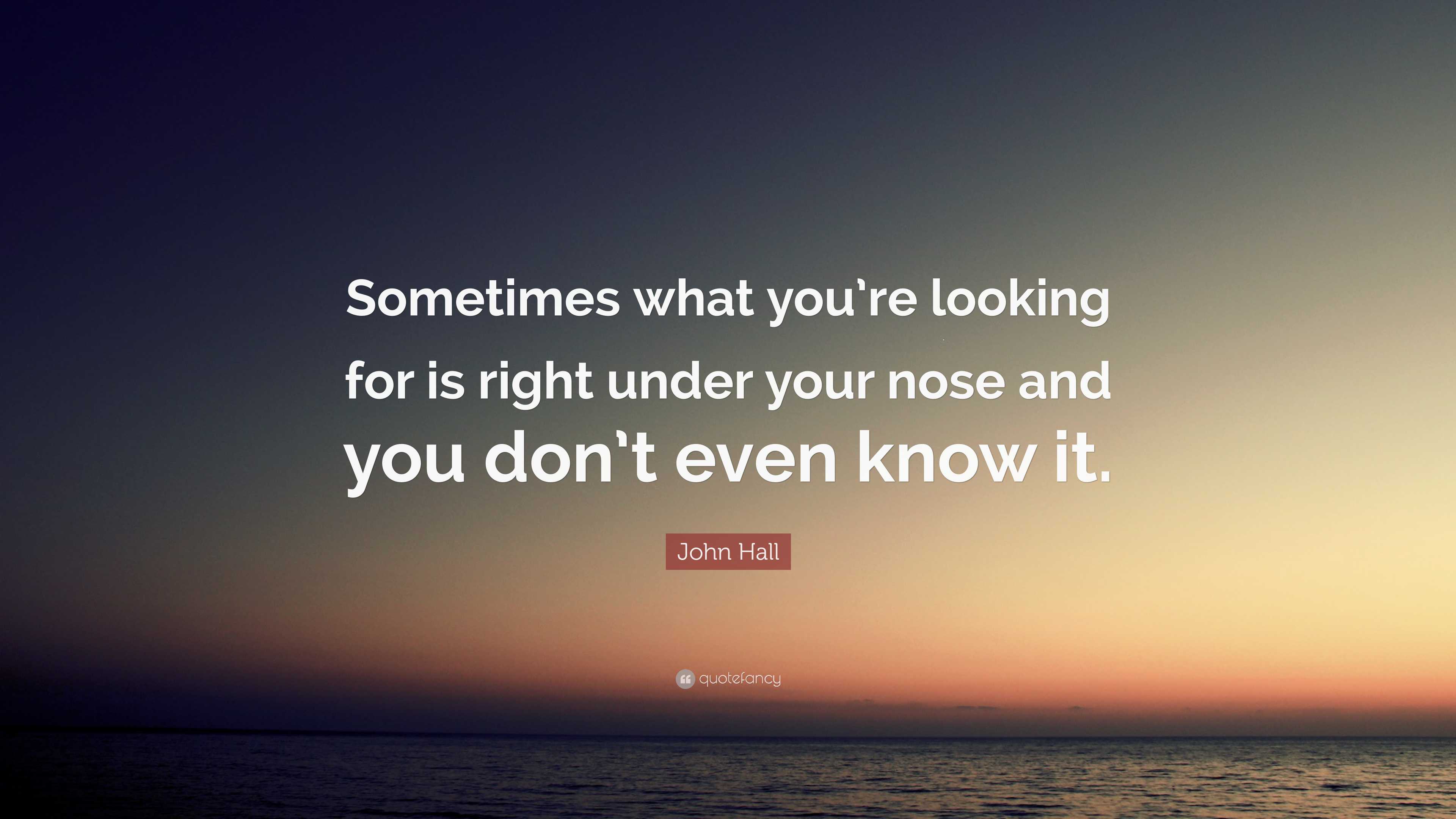 John Hall Quote “Sometimes what you’re looking for is right under your