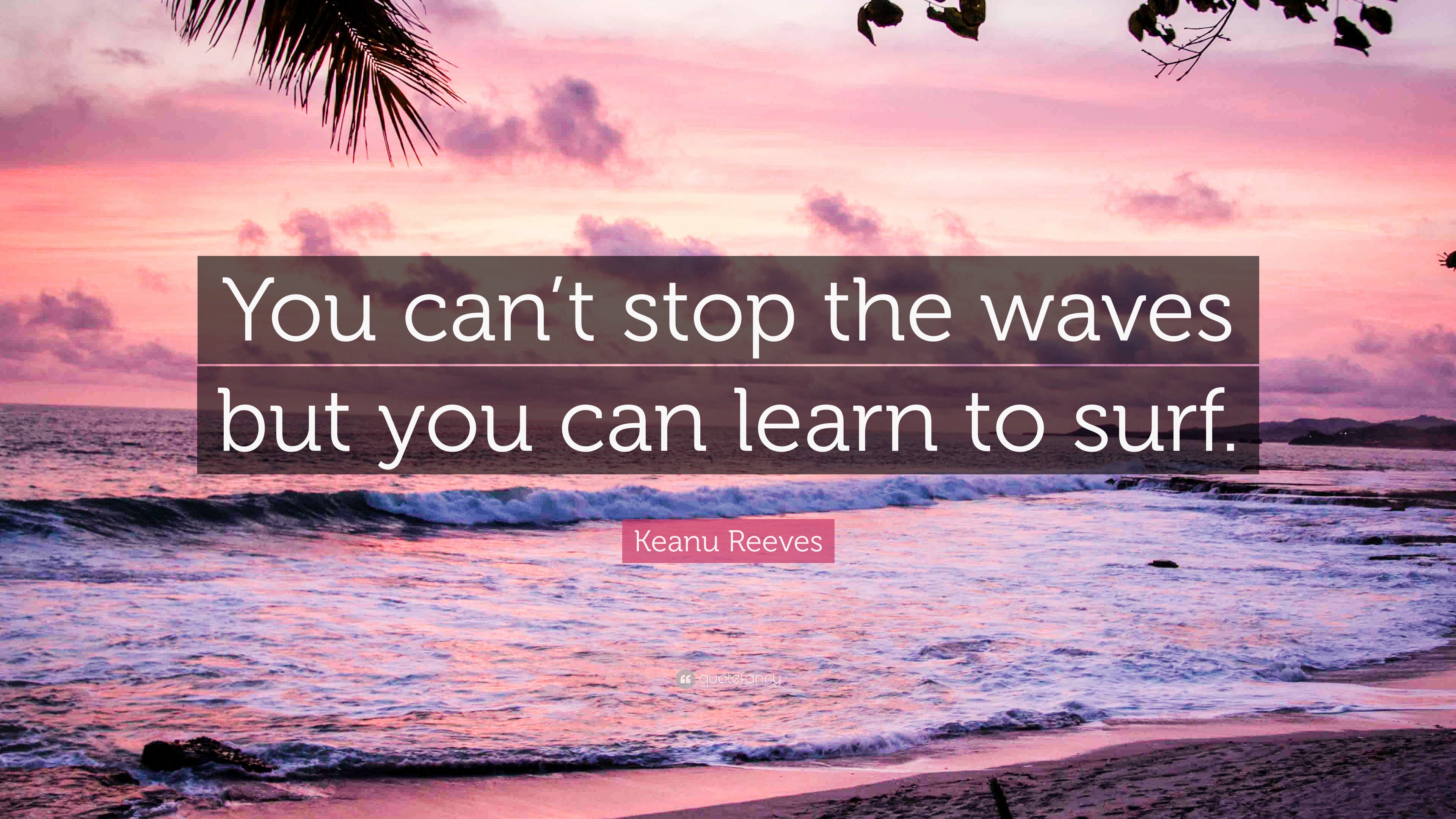 Keanu Reeves Quote: “You can’t stop the waves but you can learn to surf.”