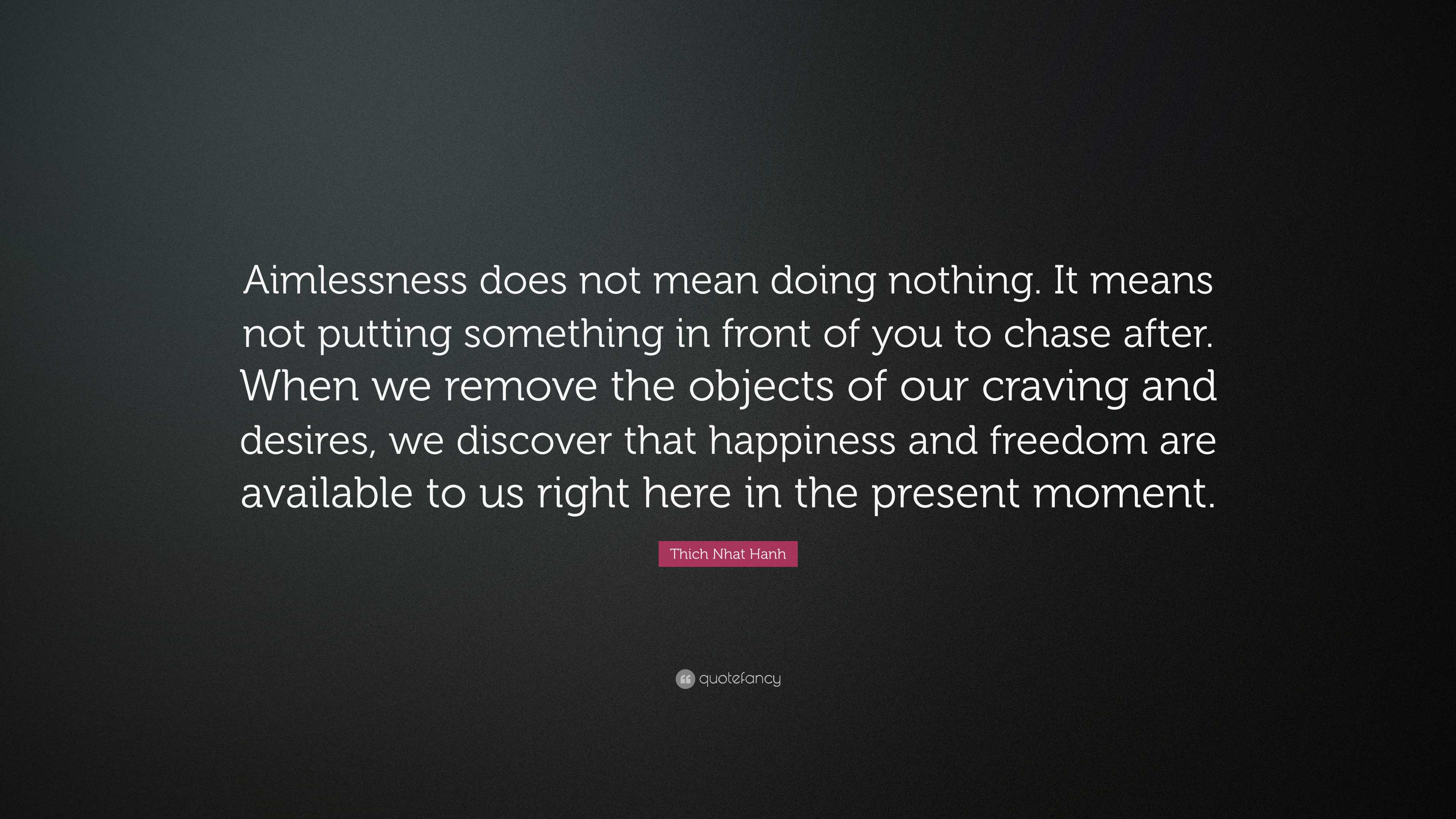 Thich Nhat Hanh Quote: “Aimlessness does not mean doing nothing. It ...