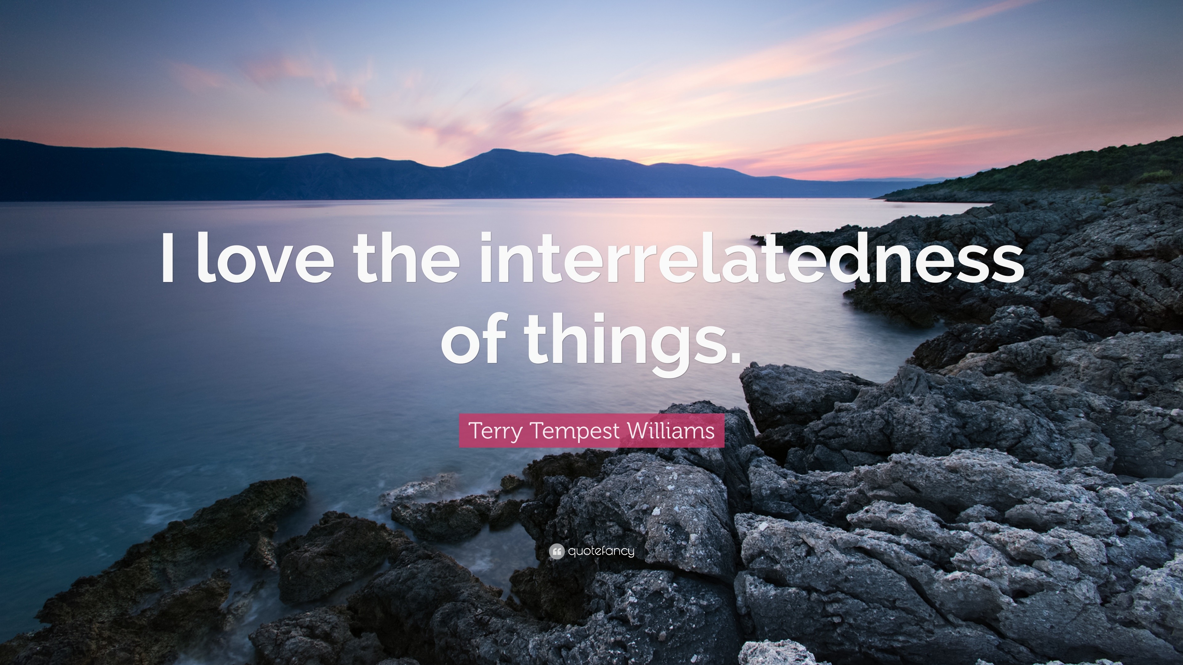 Terry Tempest Williams Quote: “I love the interrelatedness of things.”