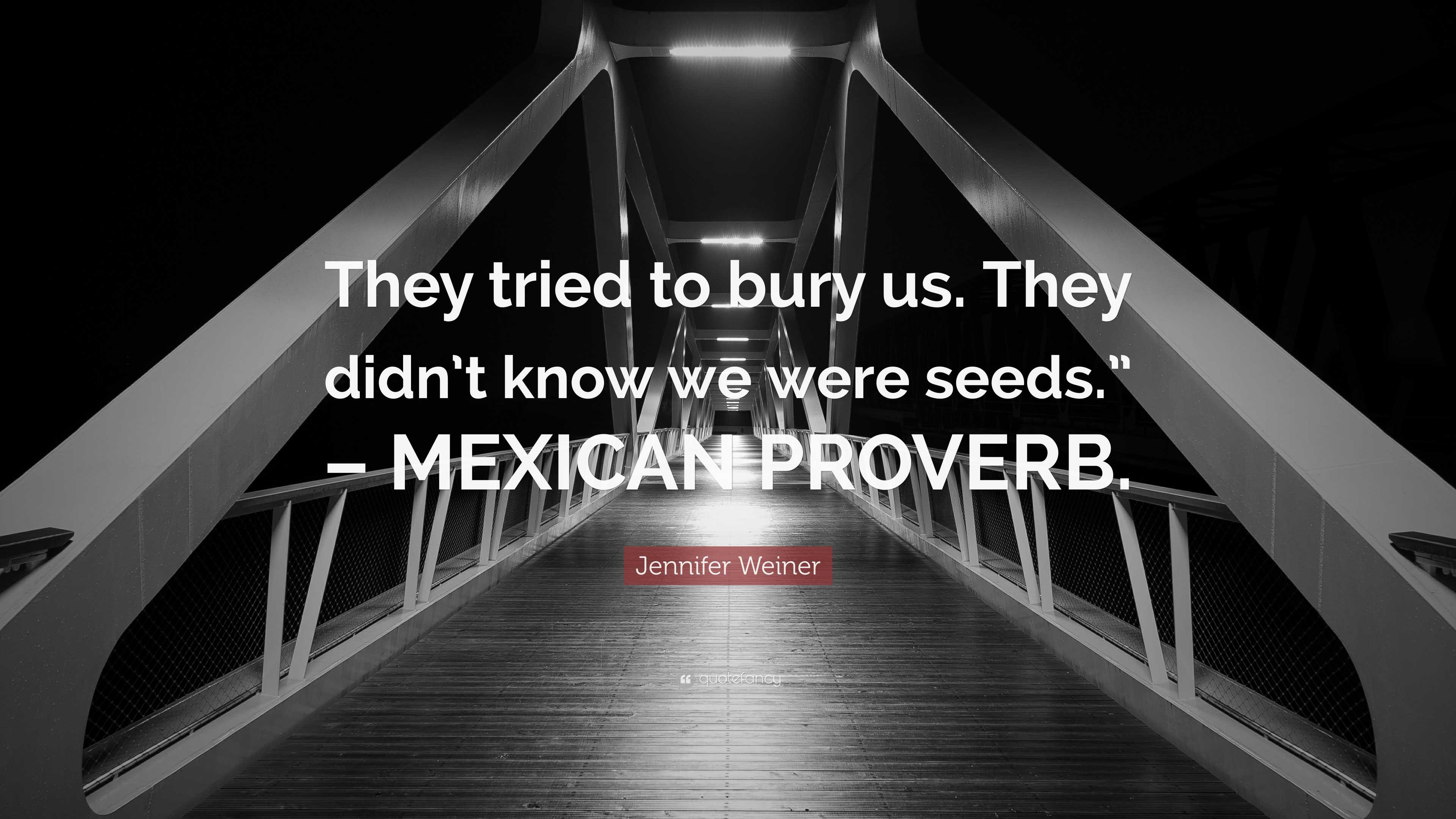 Jennifer Weiner Quote “they Tried To Bury Us They Didnt Know We Were Seeds” Mexican Proverb” 