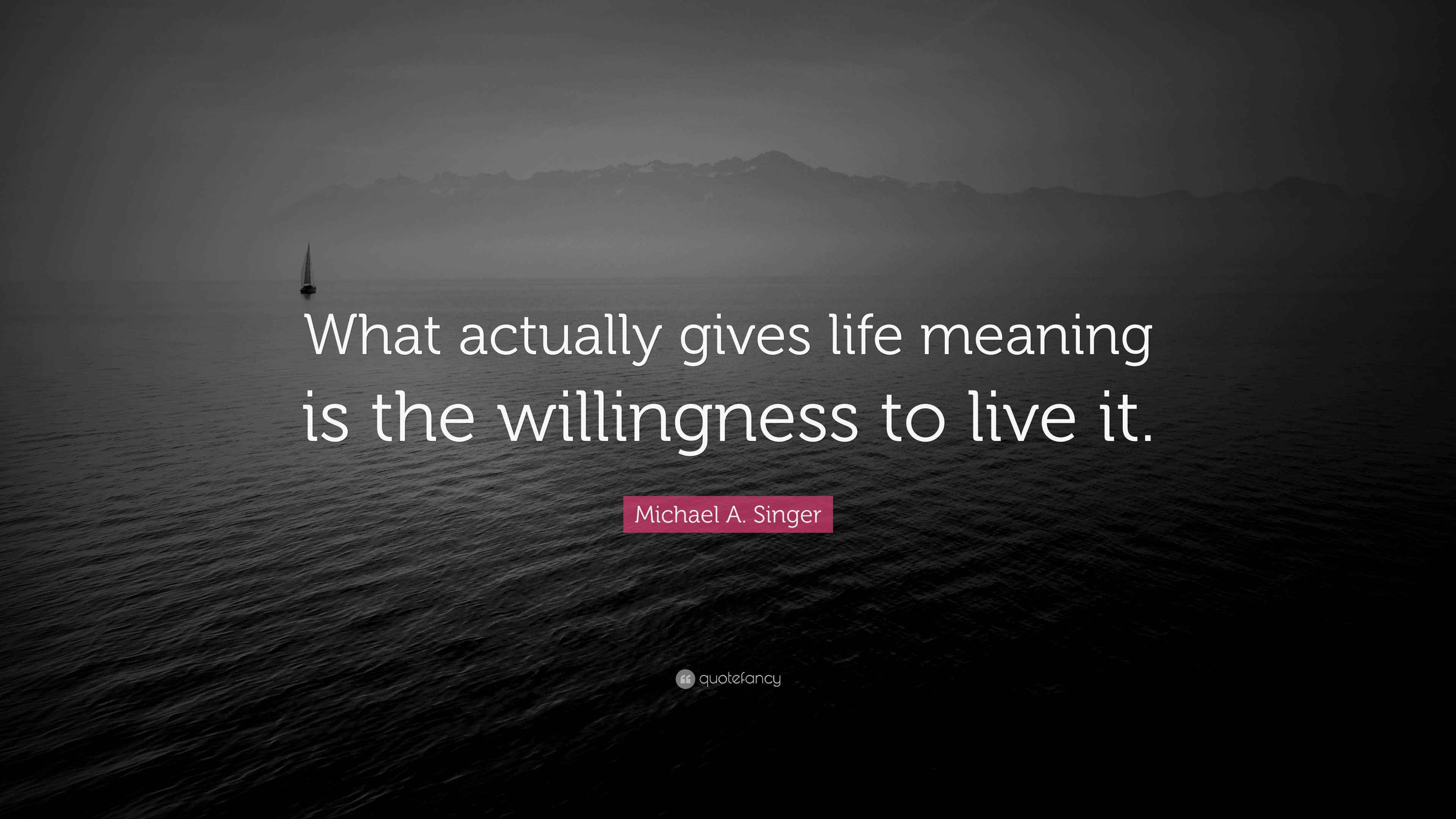 Michael A. Singer Quote “What actually gives life meaning is the