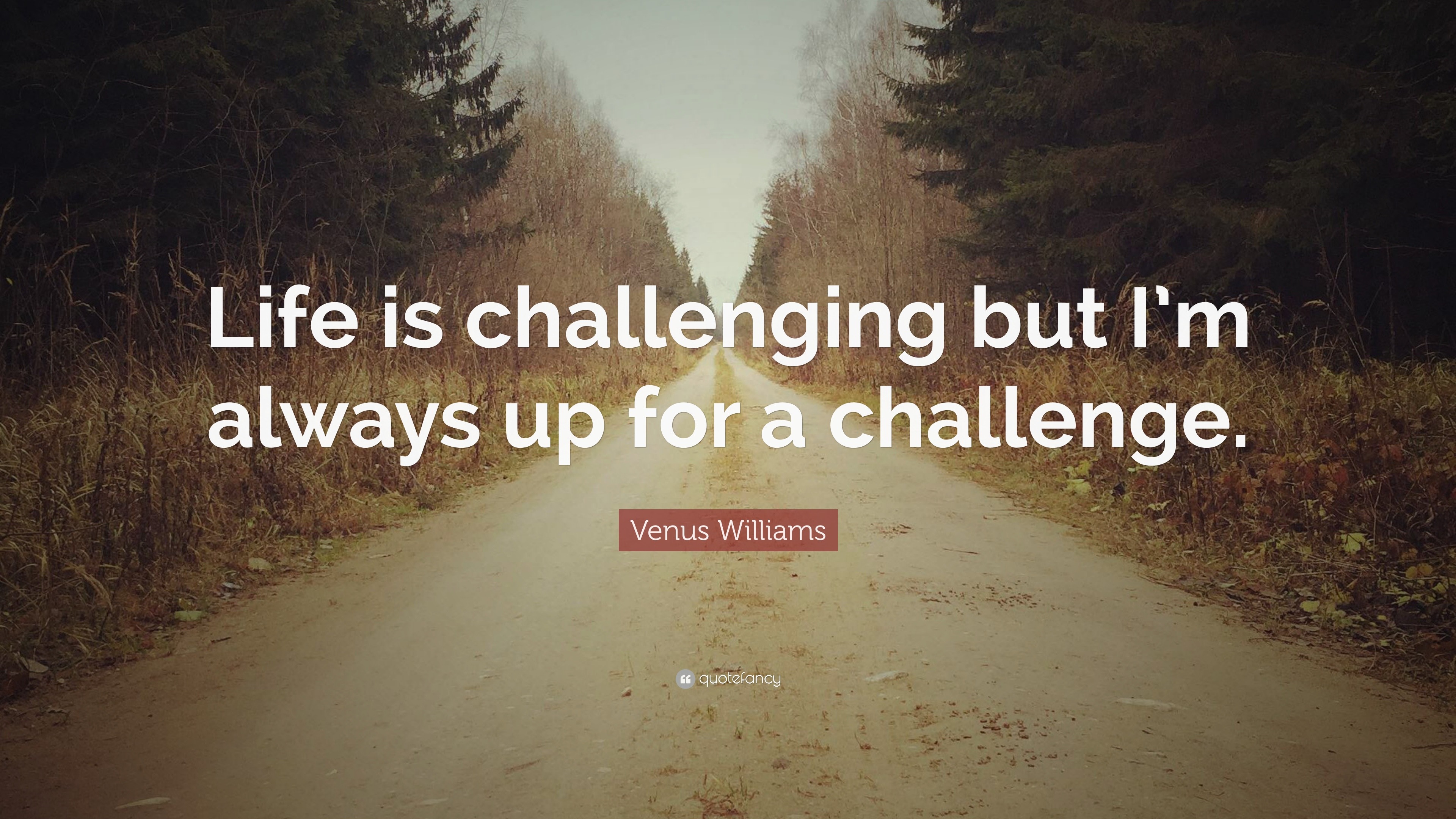 Venus Williams Quote: “life Is Challenging But I’m Always Up For A 