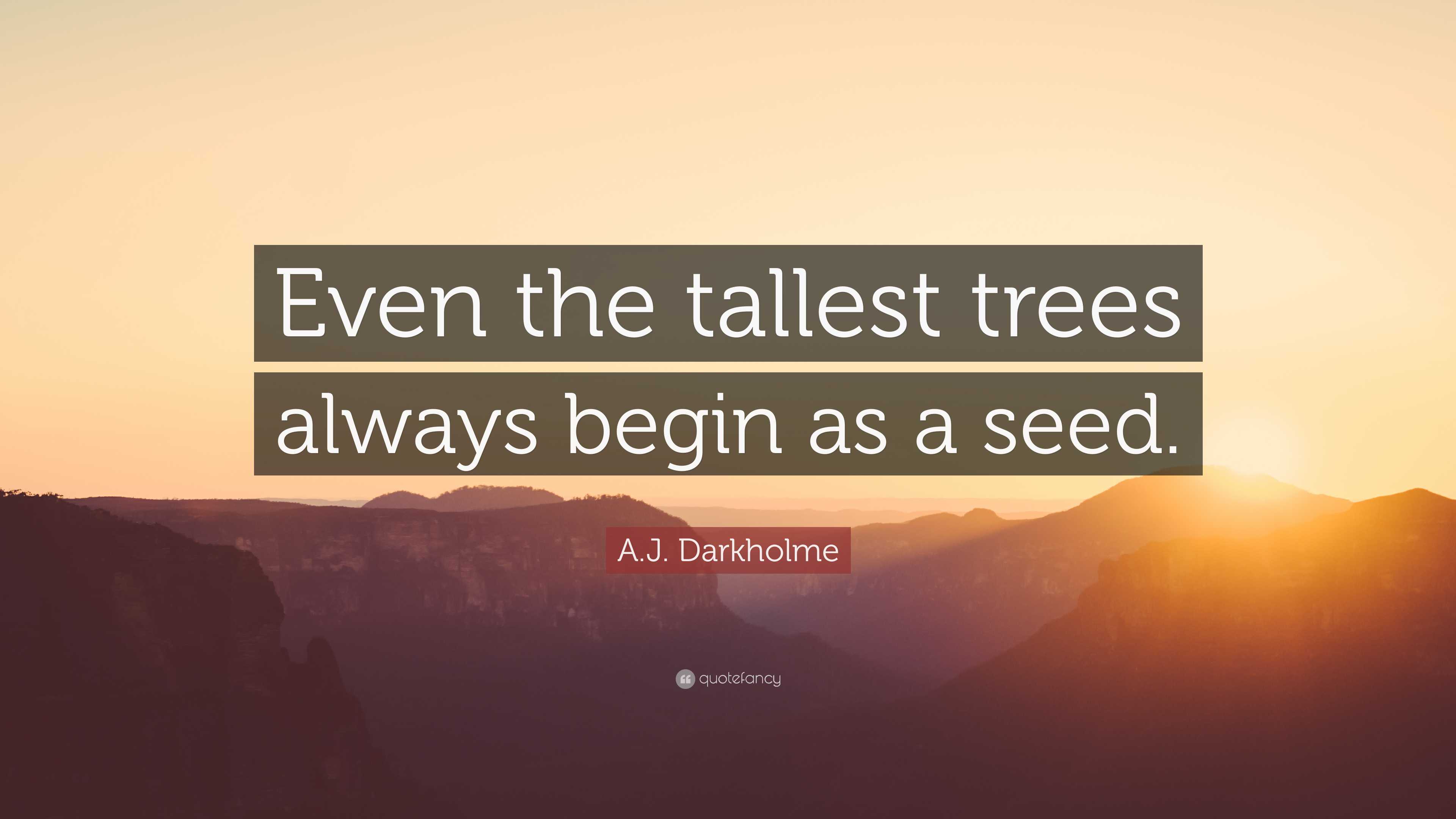 A.J. Darkholme Quote: “Even the tallest trees always begin as a seed.”