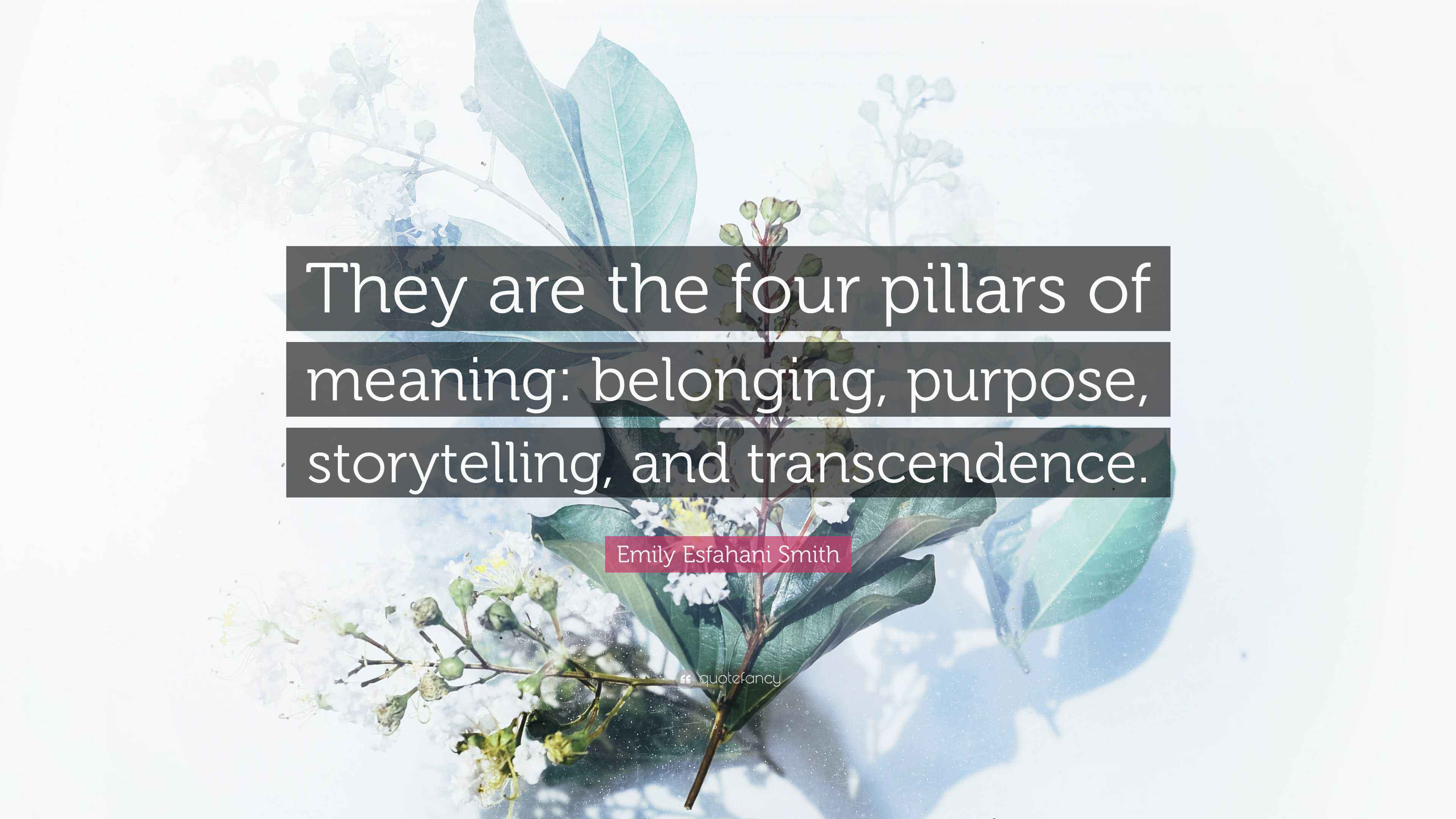 Emily Esfahani Smith Quote “They are the four pillars of meaning