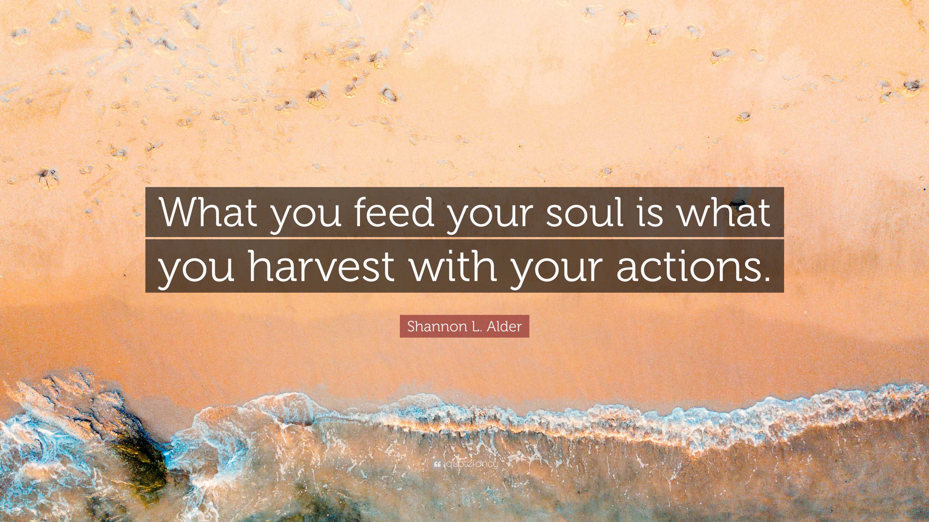 Shannon L. Alder Quote: “What you feed your soul is what you harvest with  your actions.”