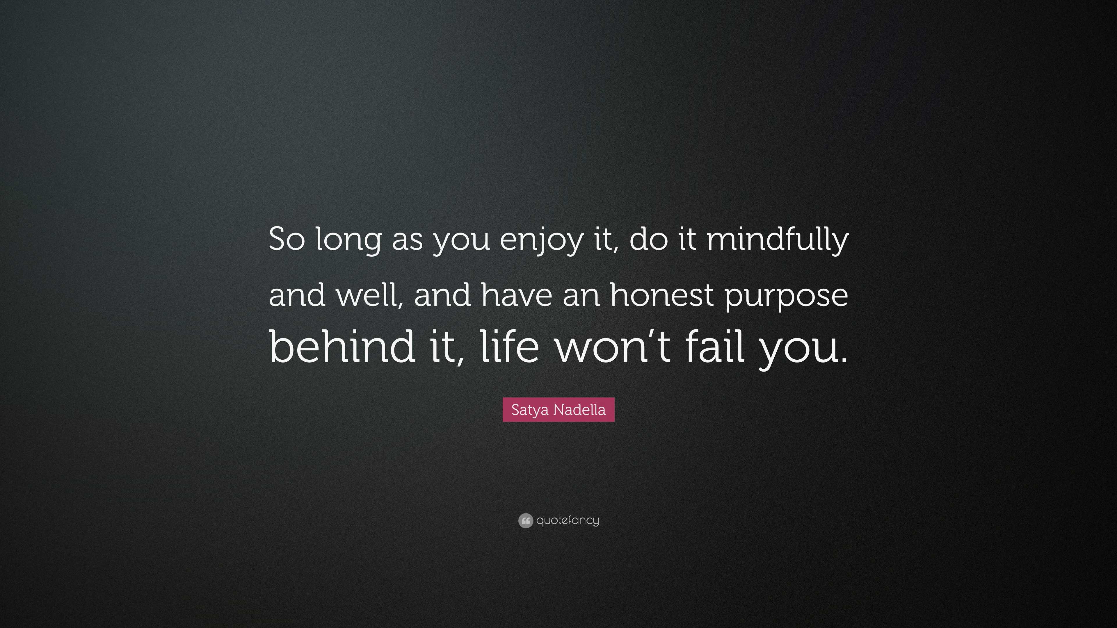 Satya Nadella Quote: “So long as you enjoy it, do it mindfully and well ...