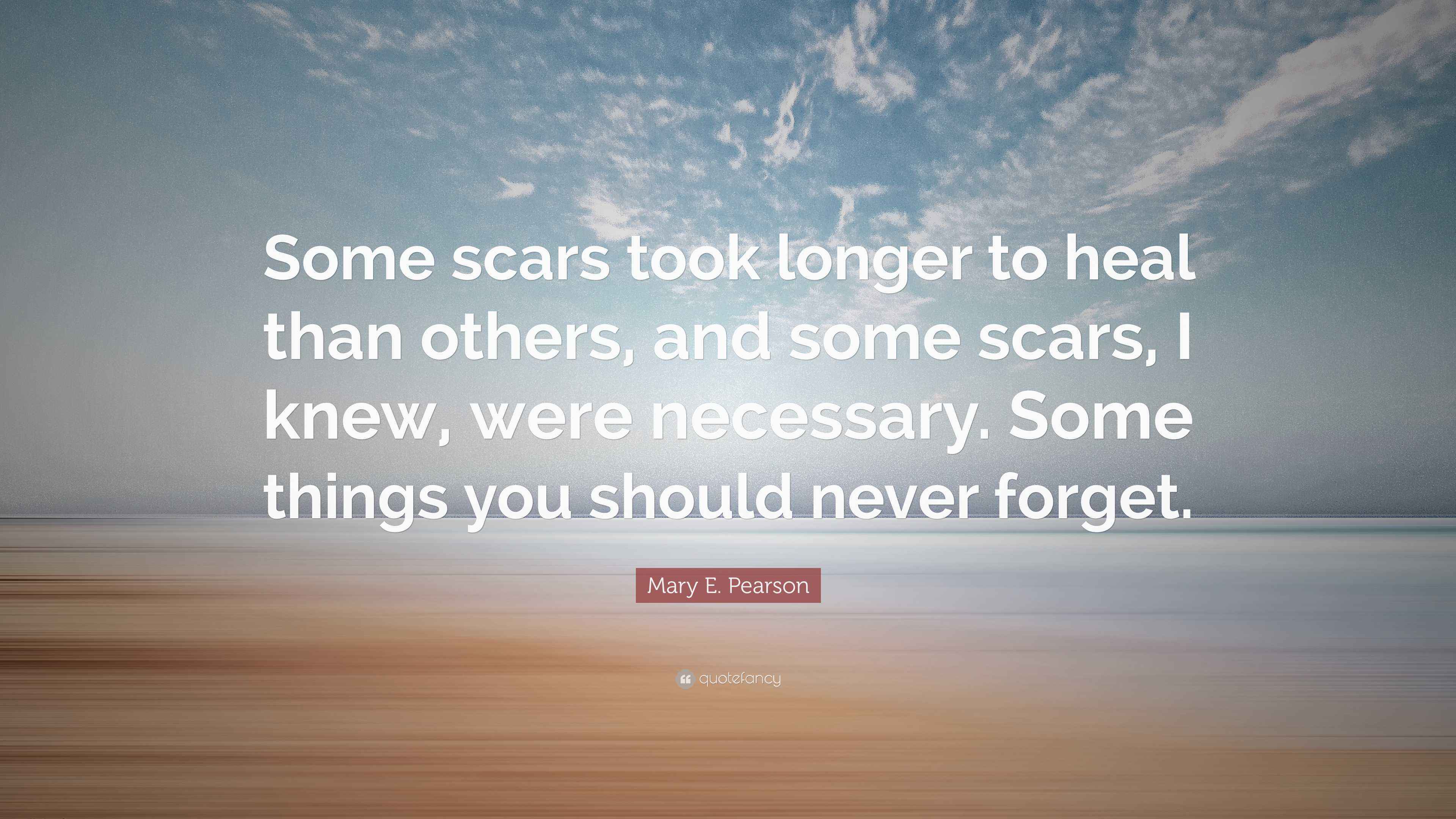 Mary E. Pearson Quote “Some scars took longer to heal than others, and