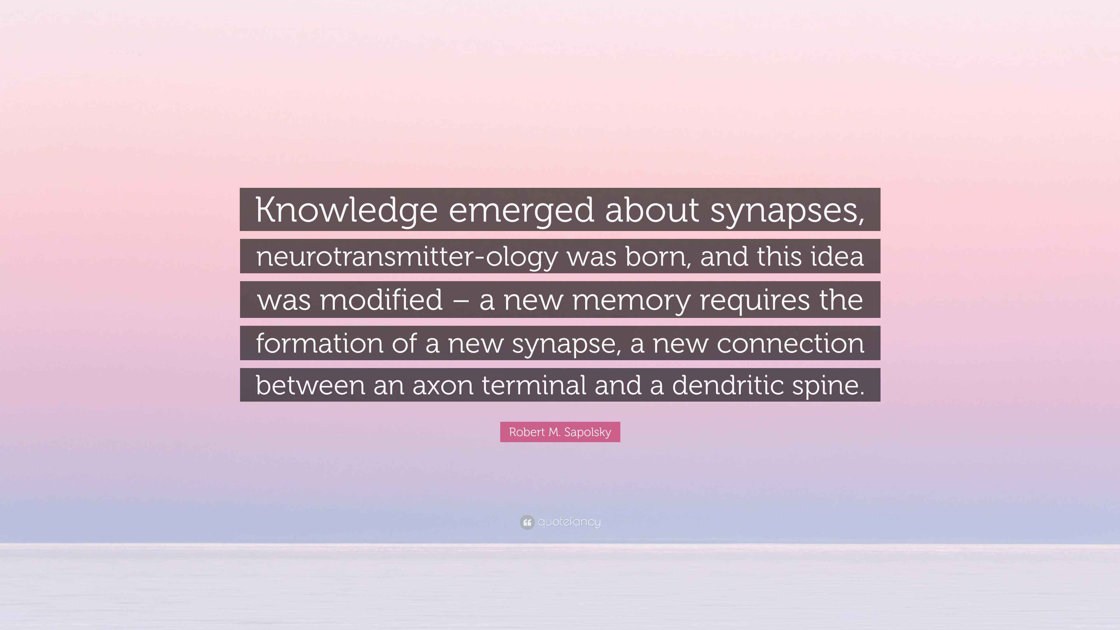 Synapse Quotes I Believe I Can Fly | Synapse QA