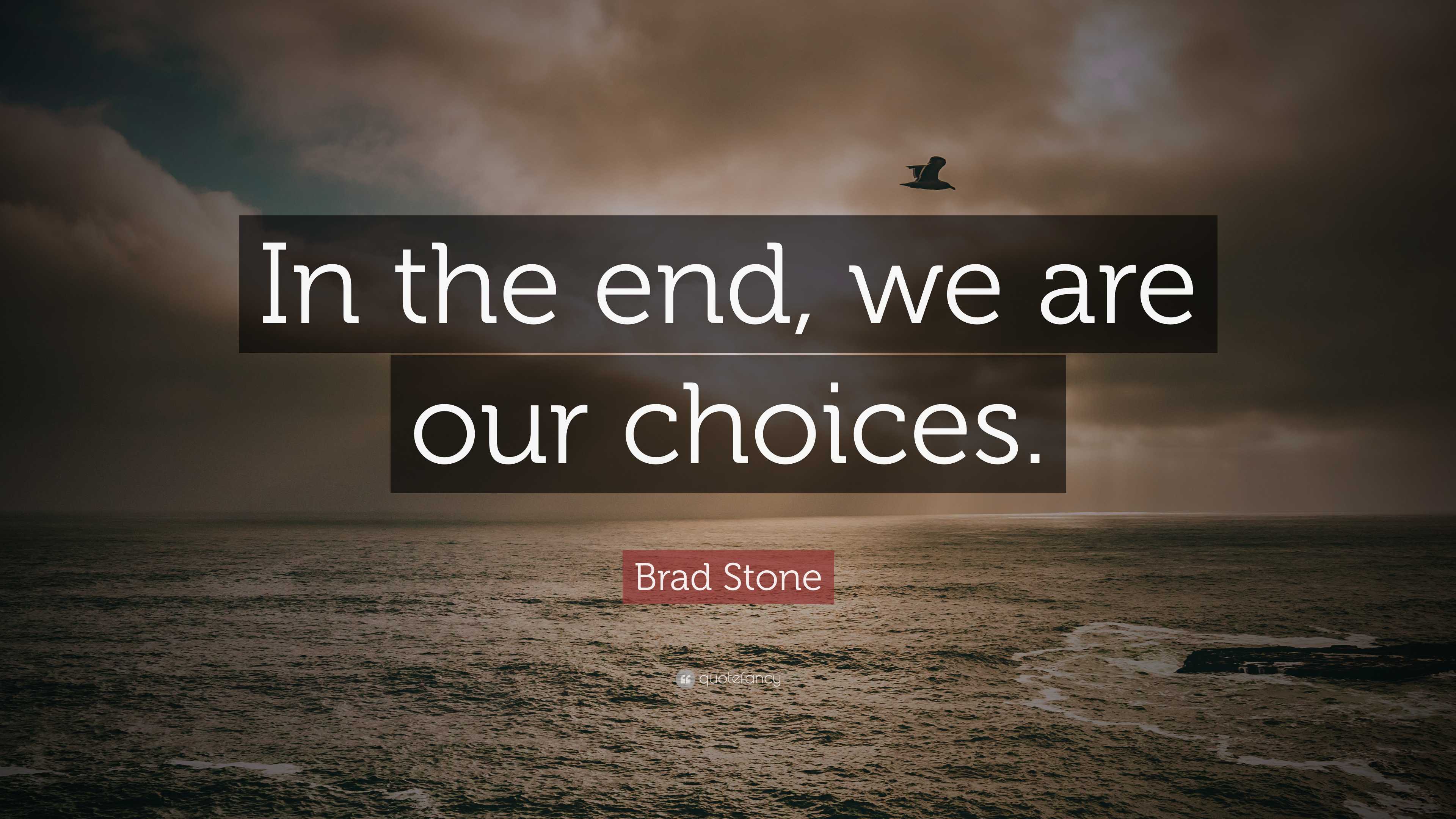 Brad Stone Quote: “In the end, we are our choices.”