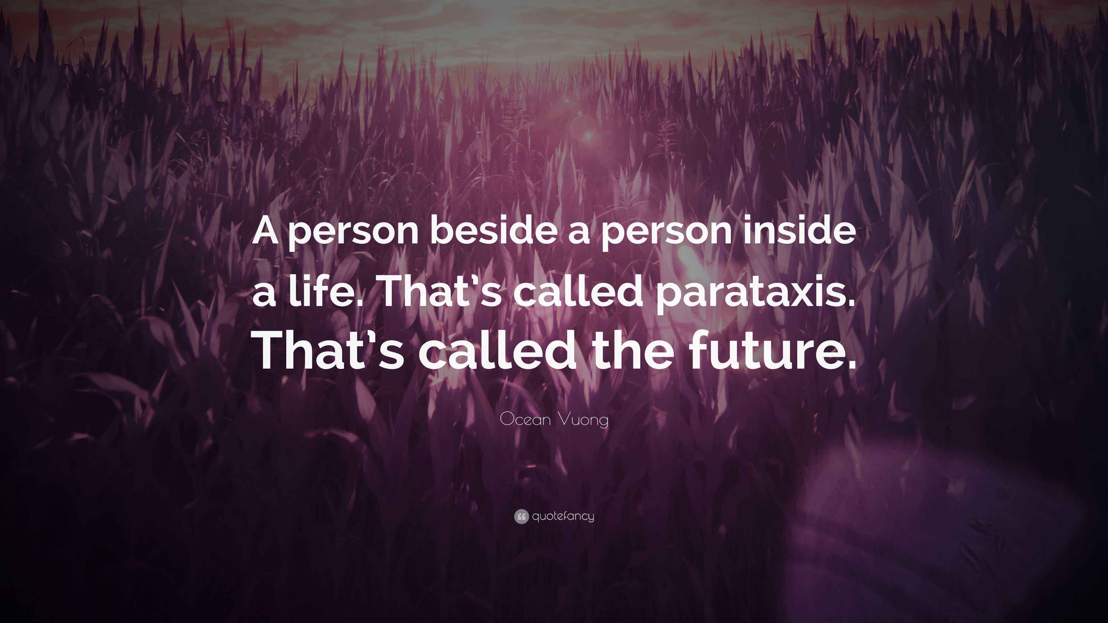 Parataxis Ocean Vuong Quote: “A person beside a person inside a life. That’s ...