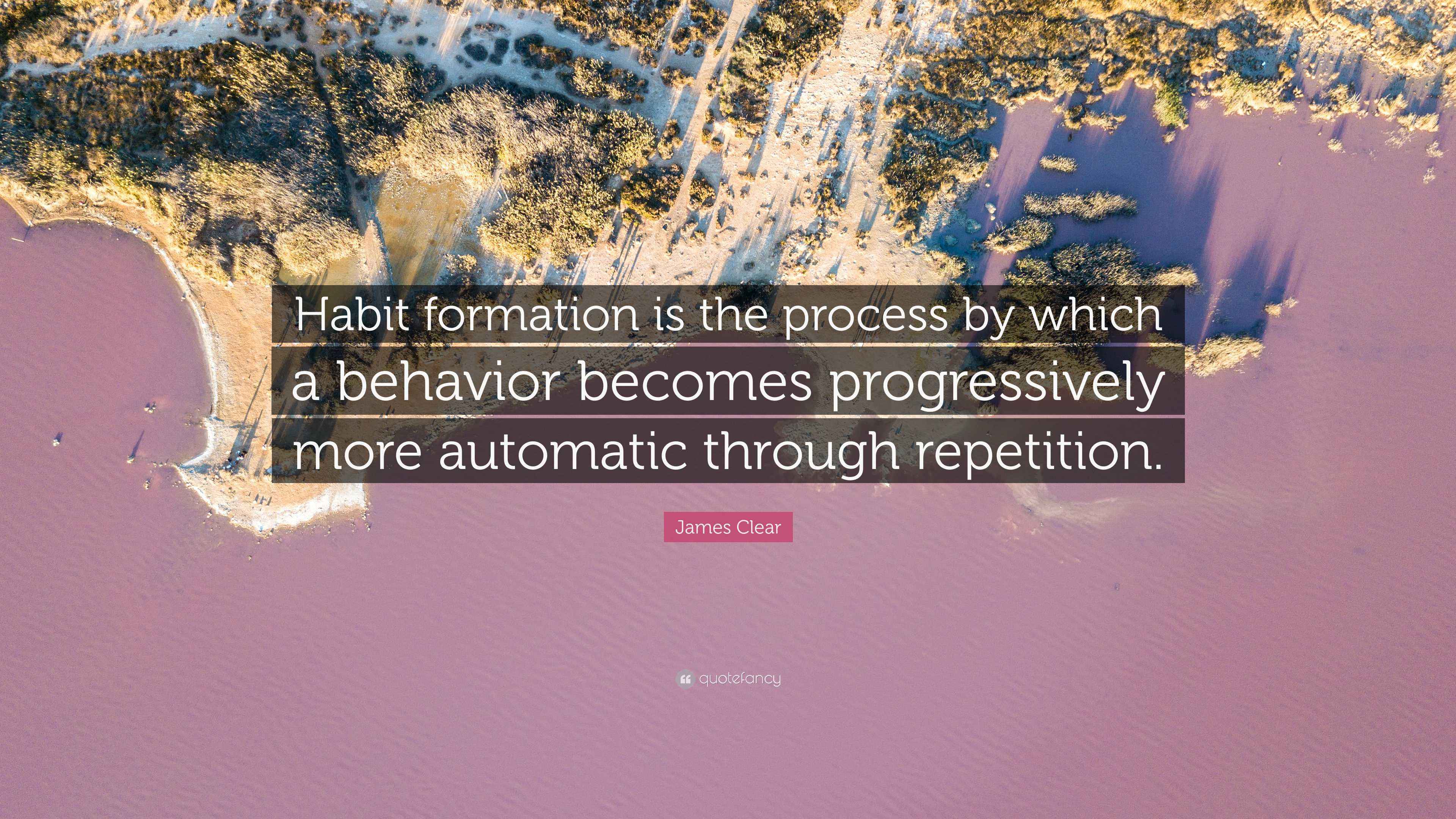 James Clear Quote: “Habit formation is the process by which a behavior