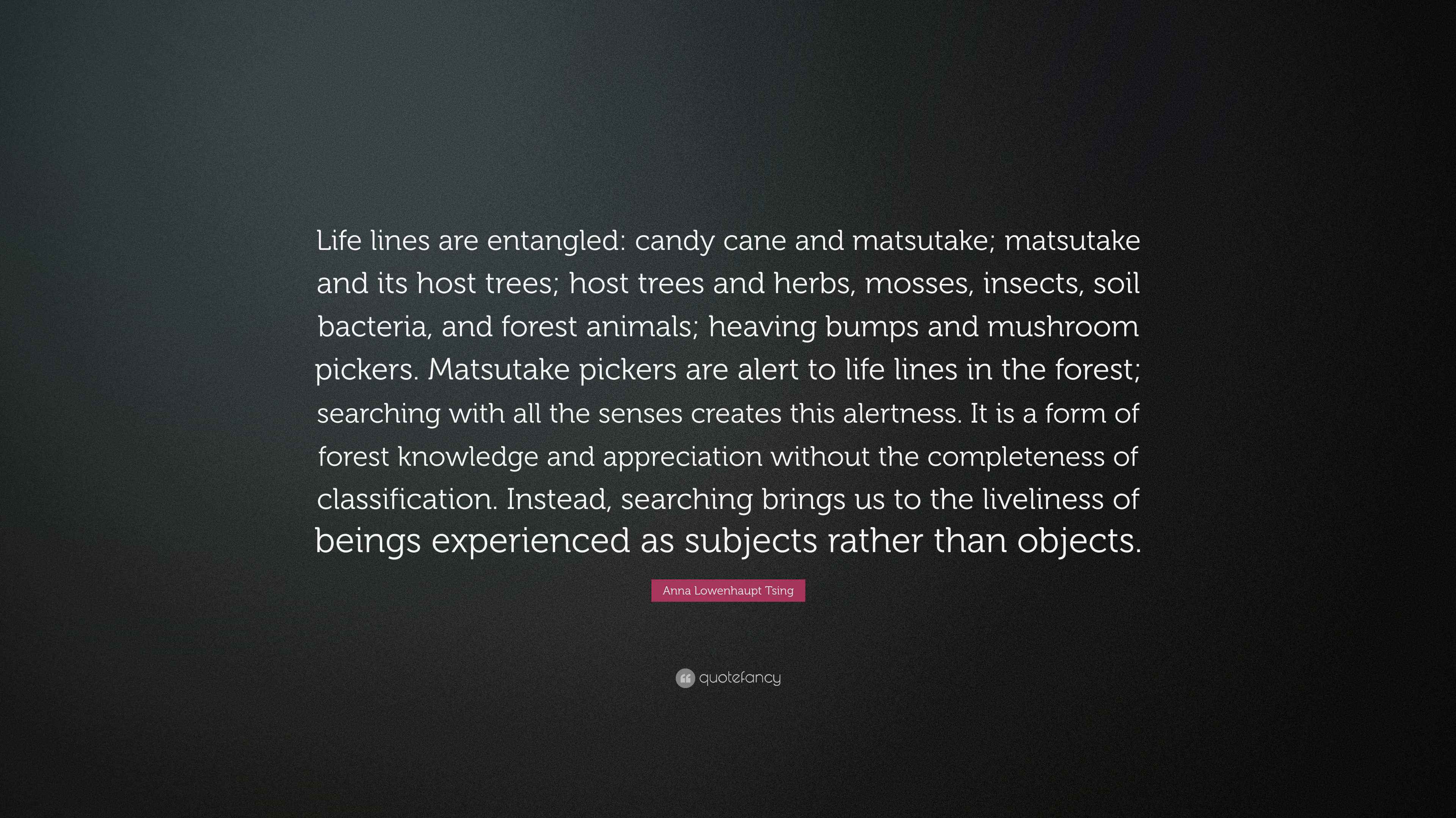 Anna Lowenhaupt Tsing Quote “Life lines are entangled candy cane and matsutake; matsutake and