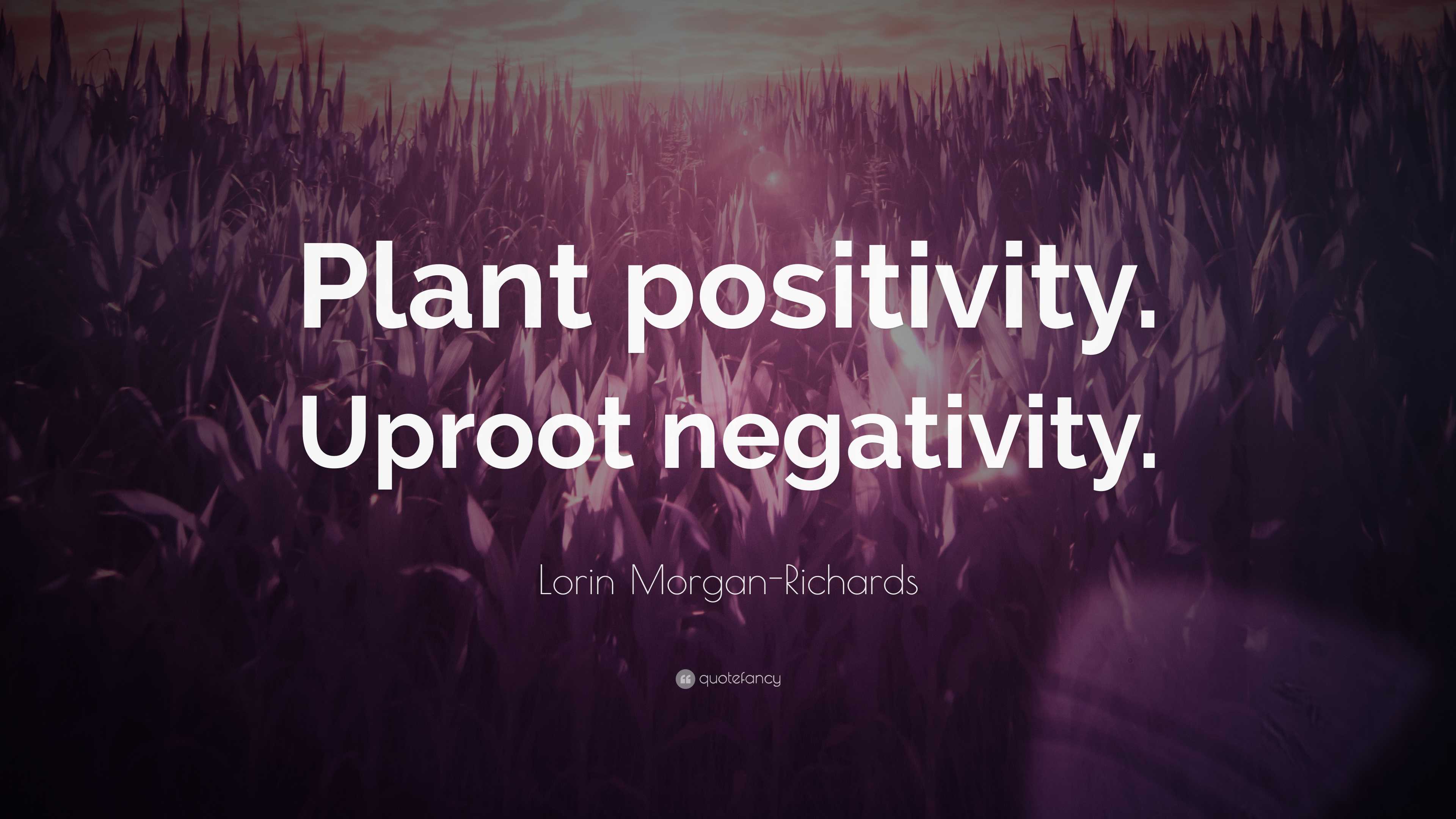 Lorin Morgan-Richards Quote: “Plant positivity. Uproot negativity.”